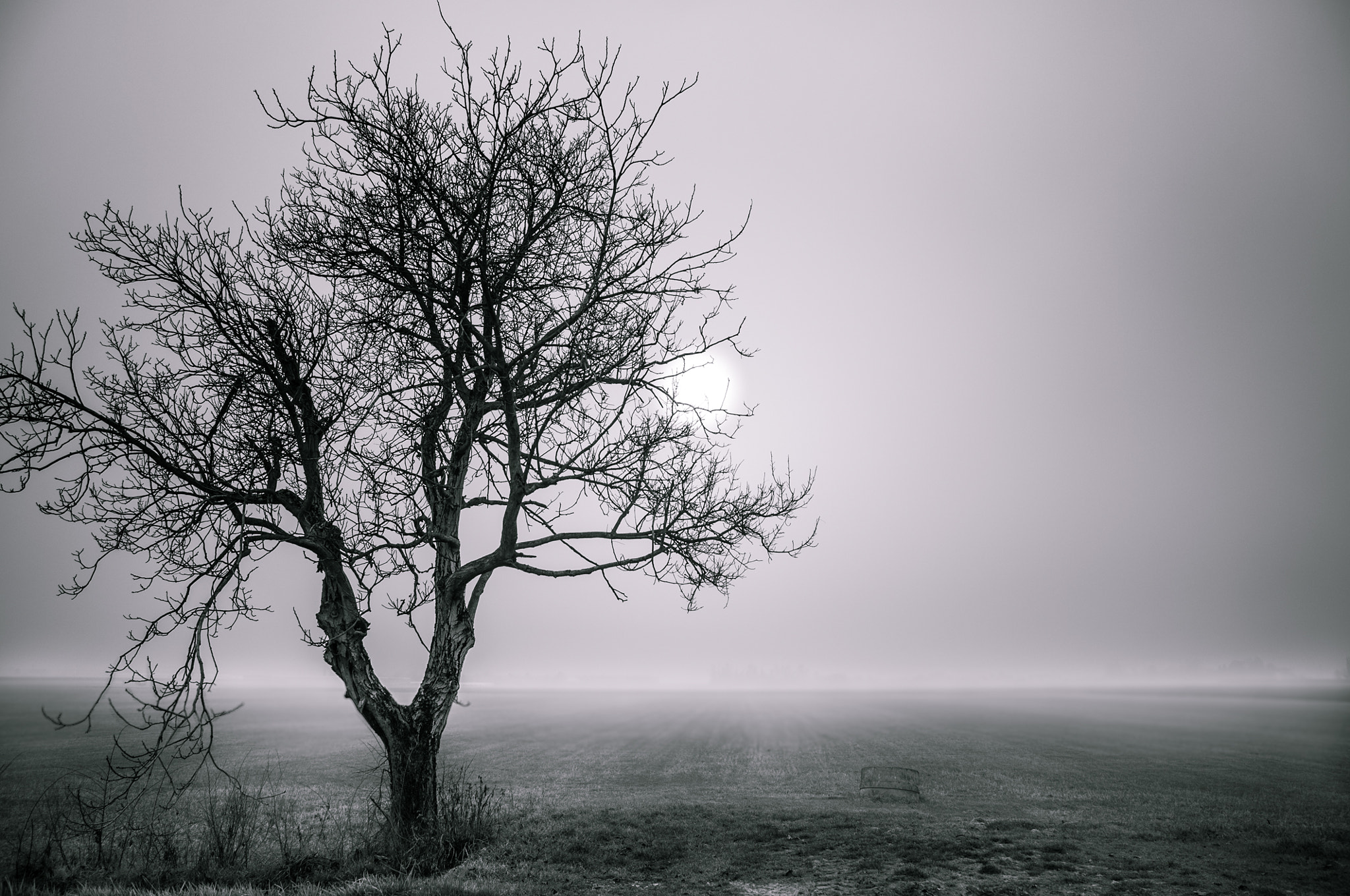 Sigma 17-50mm F2.8 EX DC OS HSM sample photo. Fog #4 photography