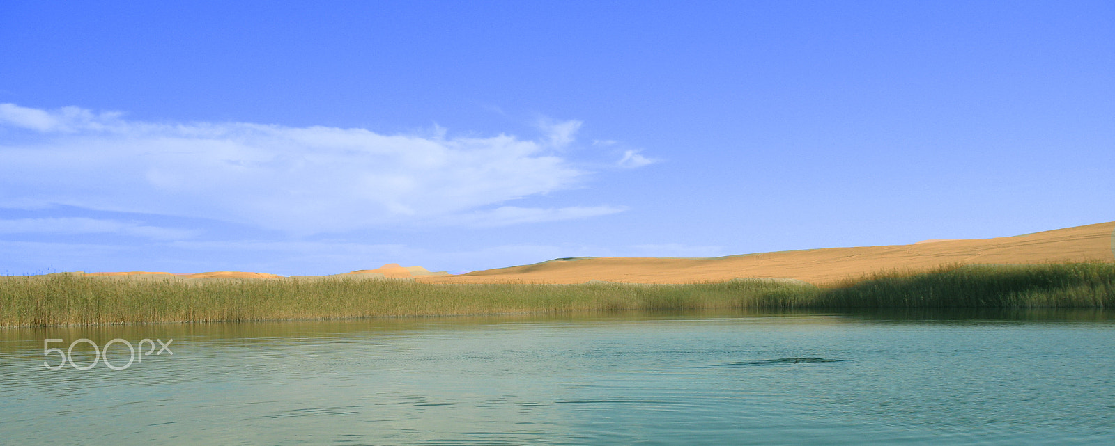 Canon POWERSHOT A620 sample photo. Pond in the desert photography