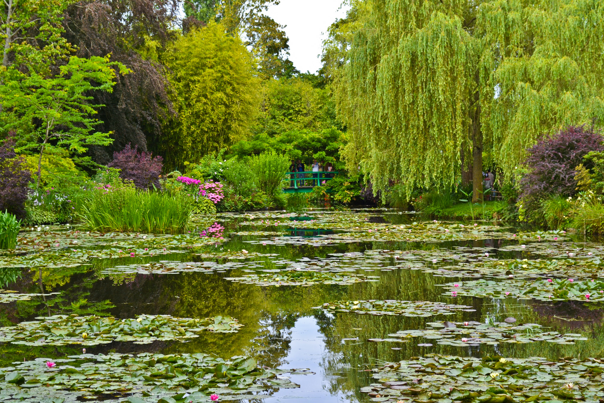 Nikon D3100 + Nikon AF Nikkor 14mm F2.8D ED sample photo. Le jardin de claude monet, giverny, france, july 2 photography