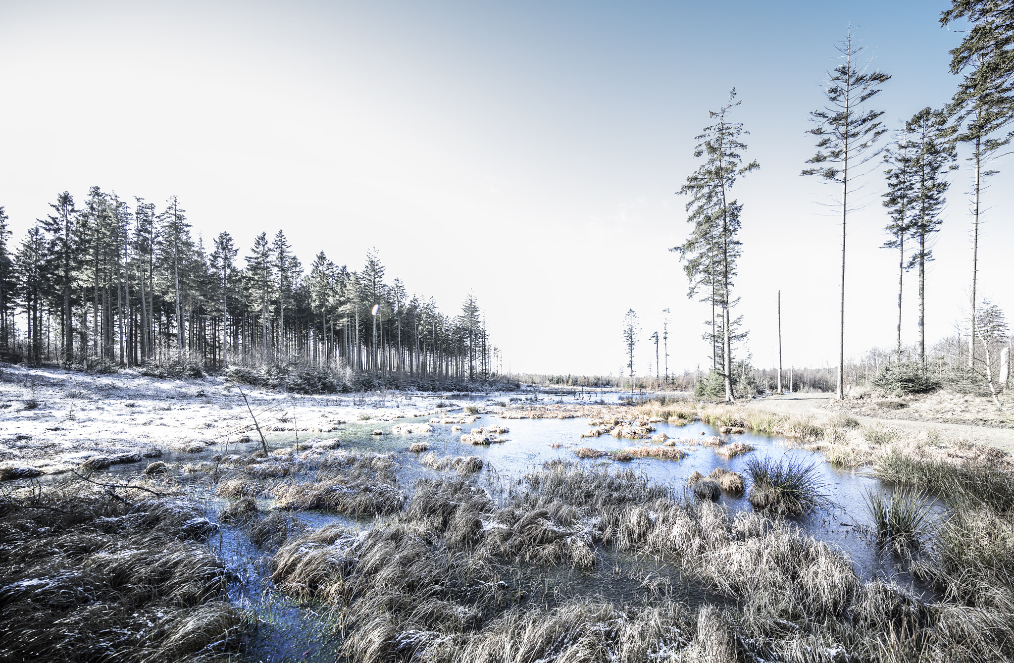 Canon EOS 5DS R + Canon EF 11-24mm F4L USM sample photo. Skørping winterscape photography