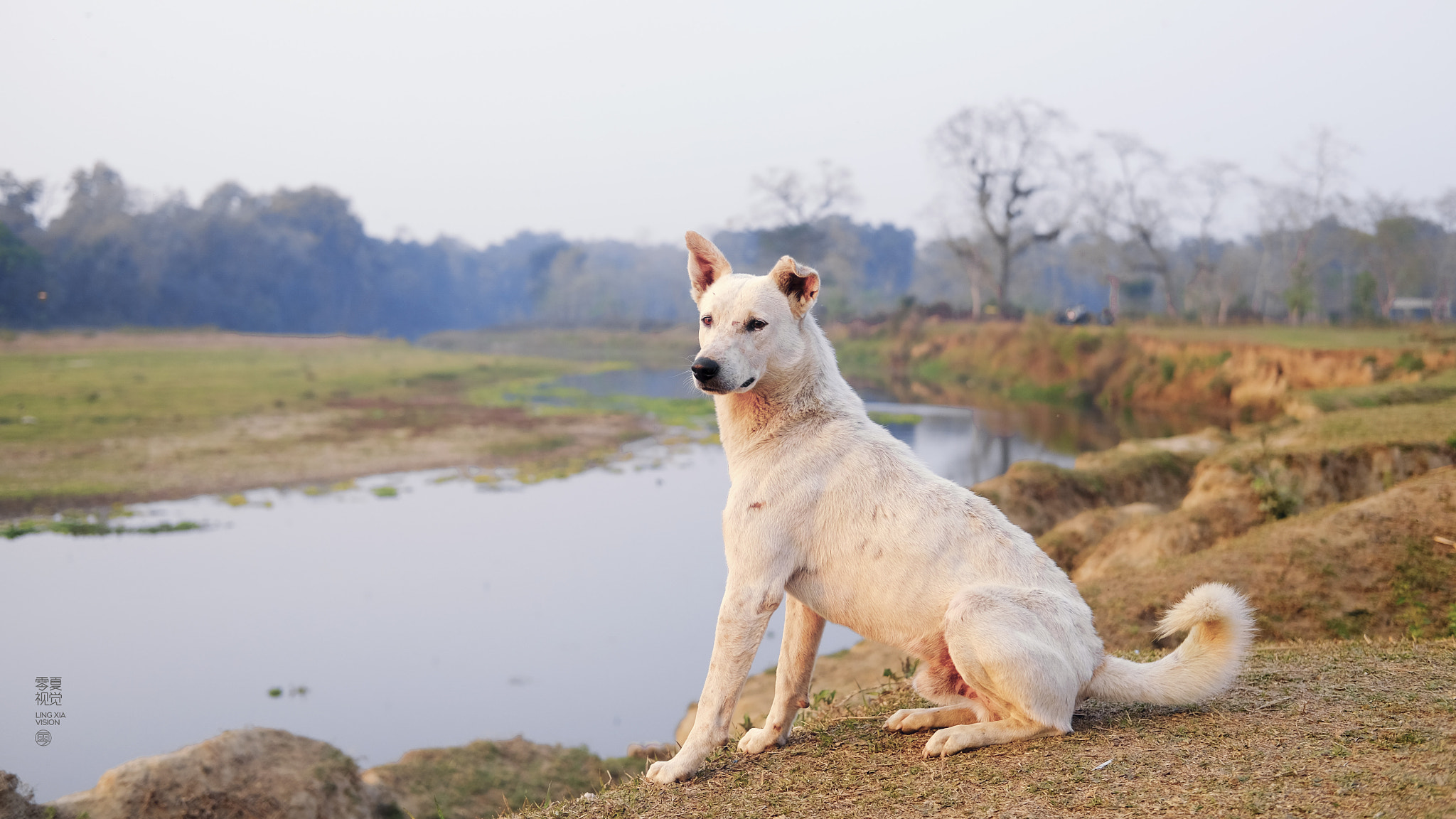 Fujifilm X-T10 + Fujifilm XF 35mm F2 R WR sample photo