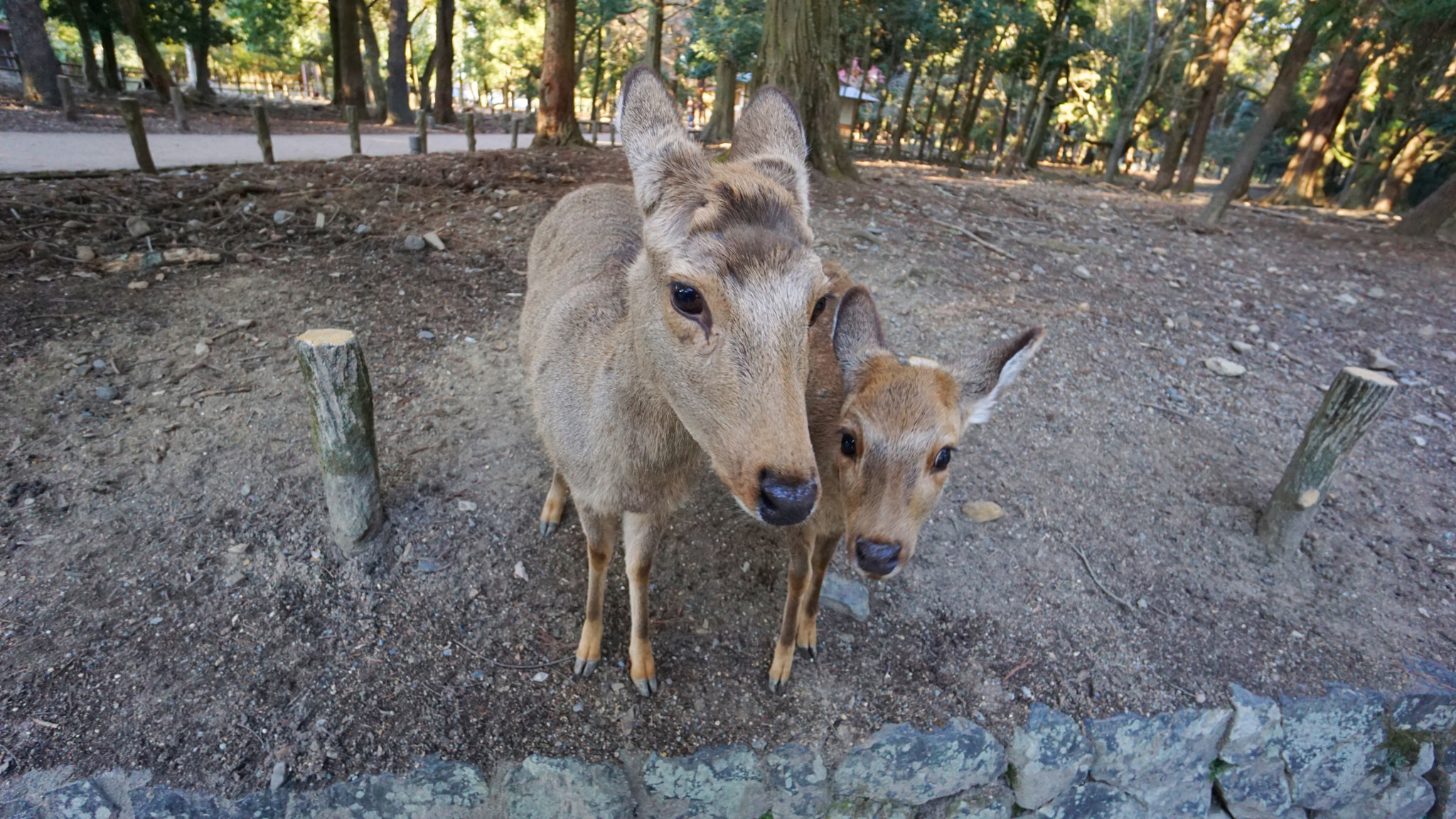 Sony a6000 + Sony E 10-18mm F4 OSS sample photo