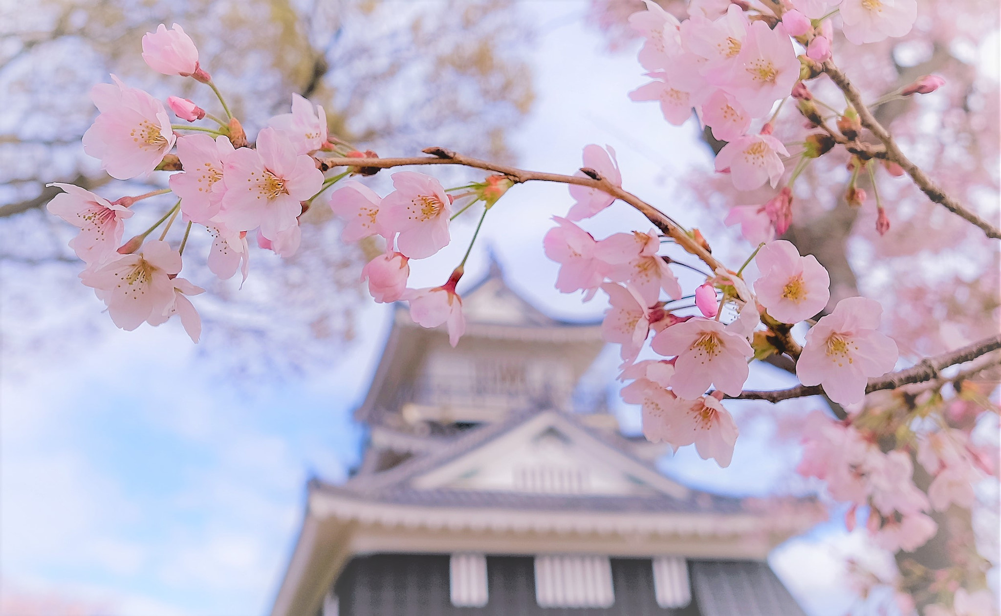 v2?sig=279de22f1c1dabb0ecc9cccc94349668c42e022978b60e63d646ddc747f9555f