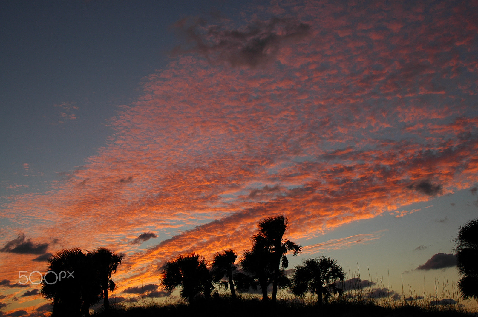 Nikon D70 sample photo. After the sunset photography