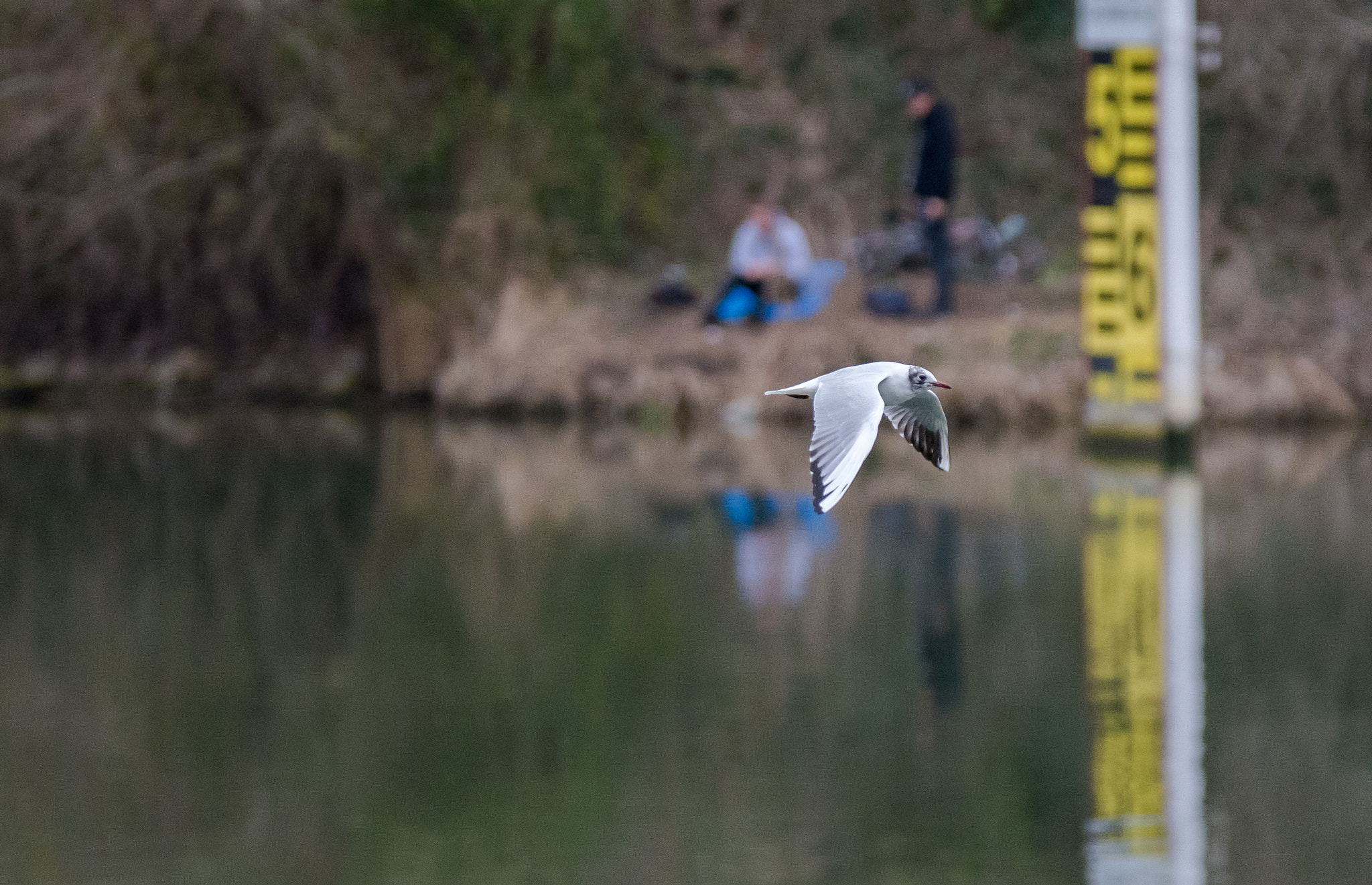 Sigma 70-200mm F2.8 EX DG OS HSM sample photo. Finish line ! photography