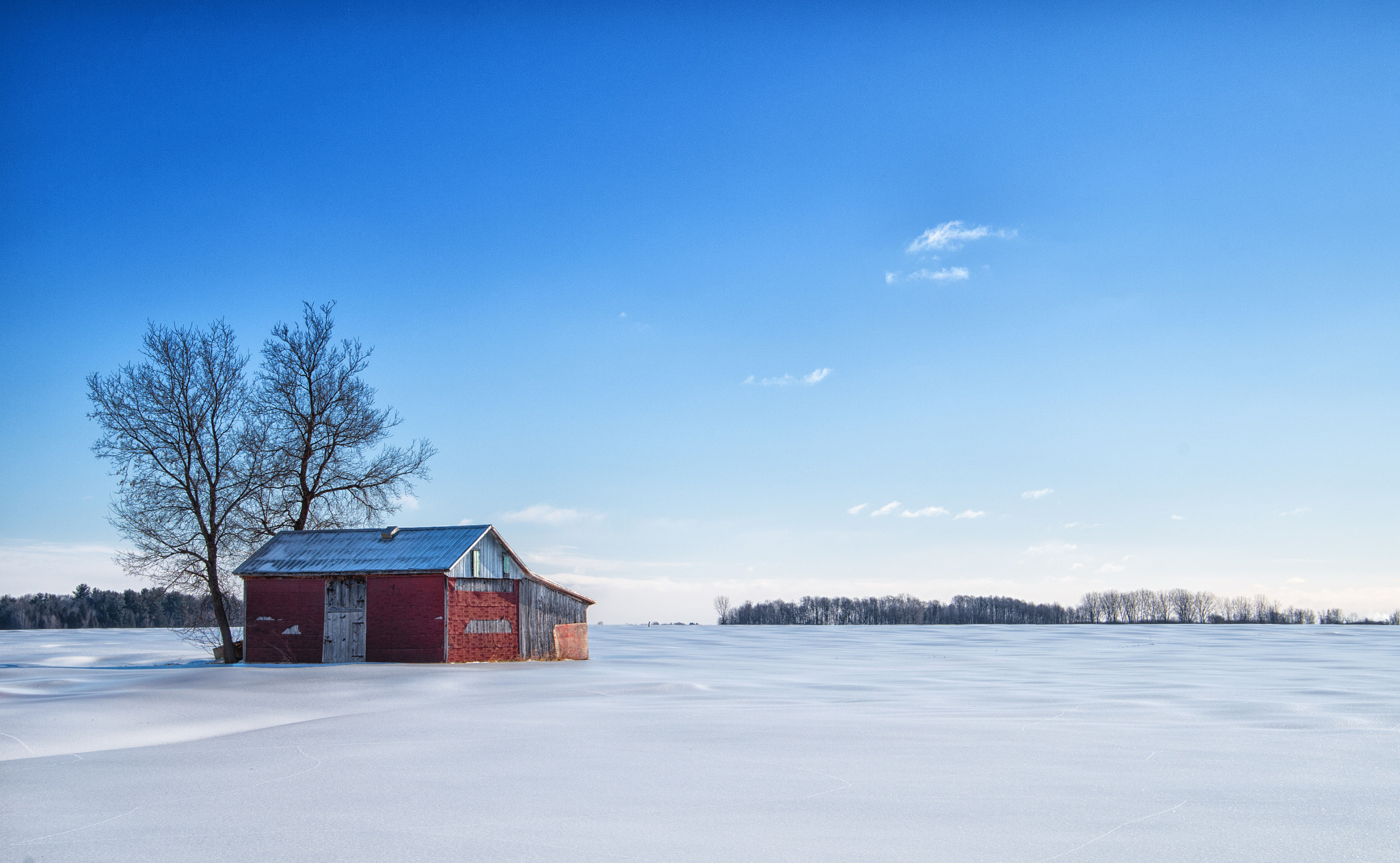 Pentax K-50 sample photo. Isolée photography