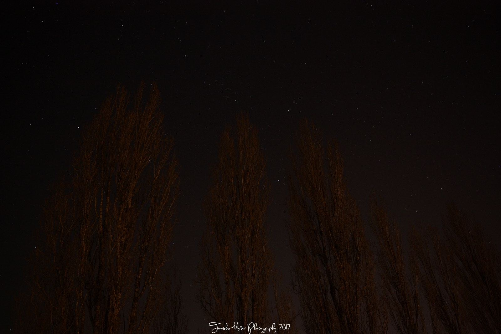 Canon EF-S 24mm F2.8 STM sample photo. Look to the stars photography