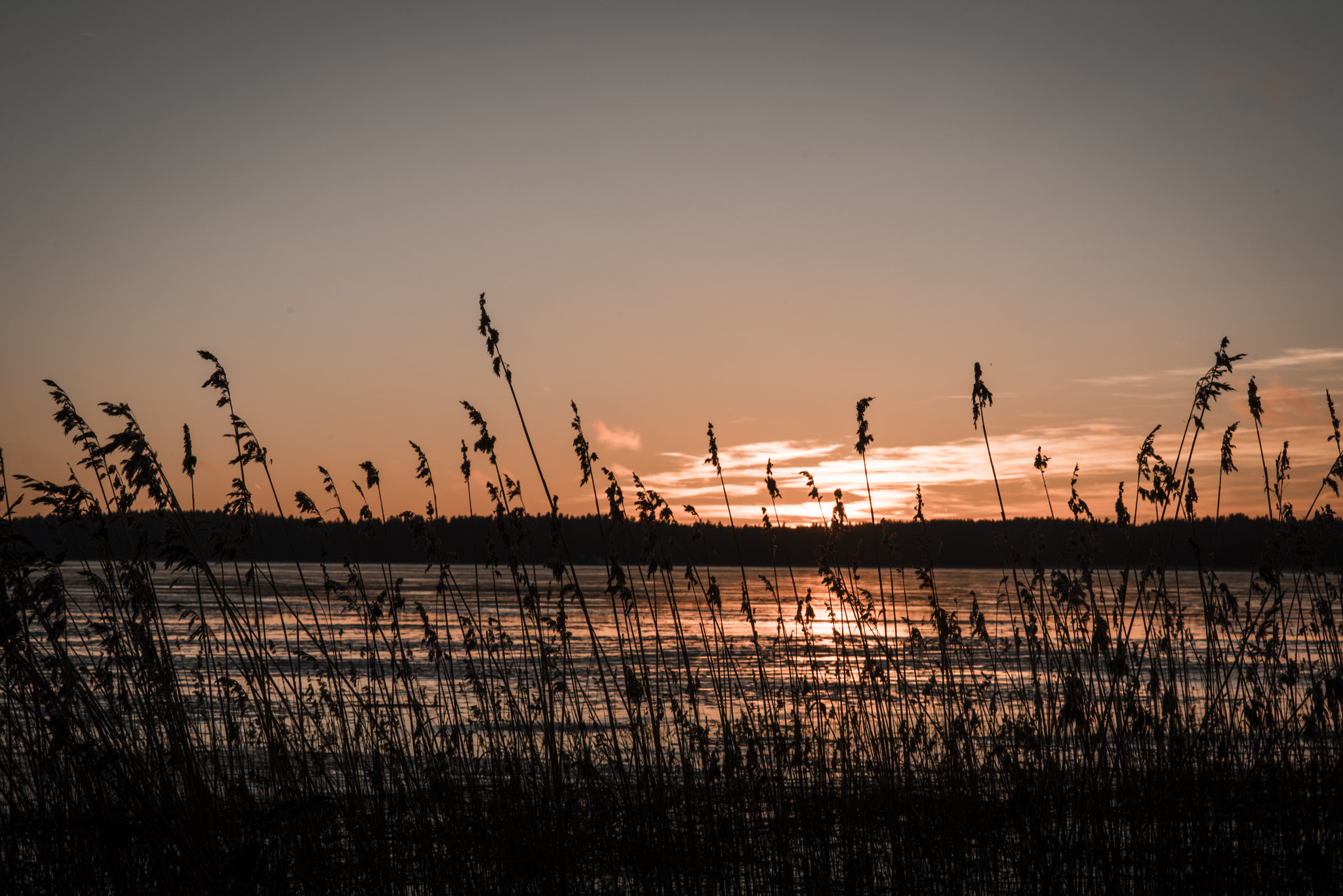 Nikon D750 sample photo. Silhouettes du soir photography