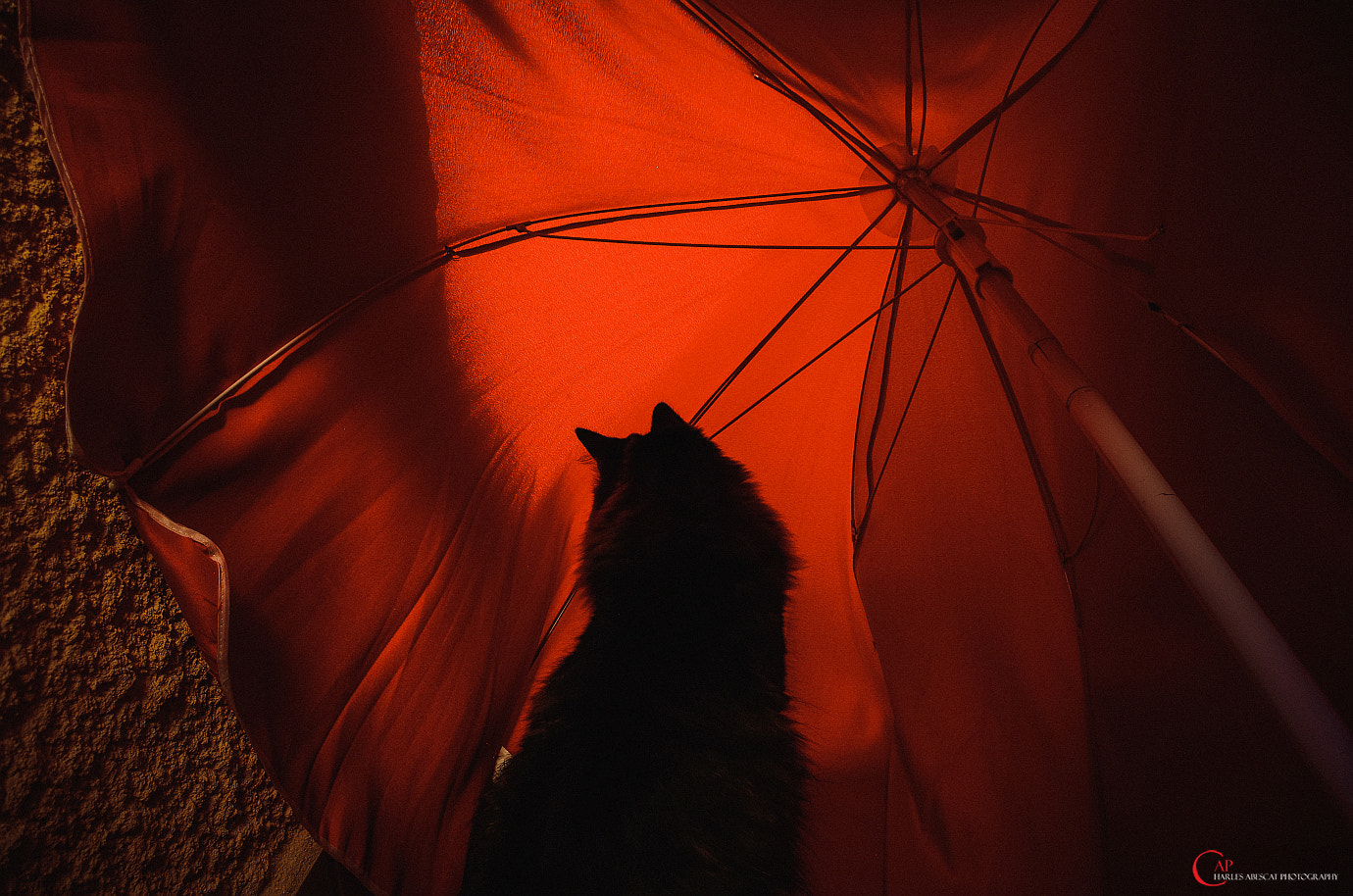 Pentax smc DA 18-55mm F3.5-5.6 AL WR sample photo. Asyla photography