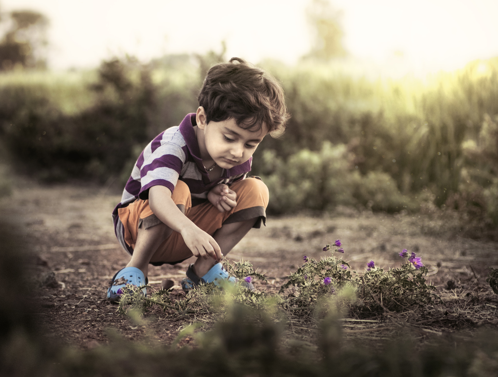 Canon EOS 80D + Tamron SP AF 90mm F2.8 Di Macro sample photo. Wild flower and kid photography