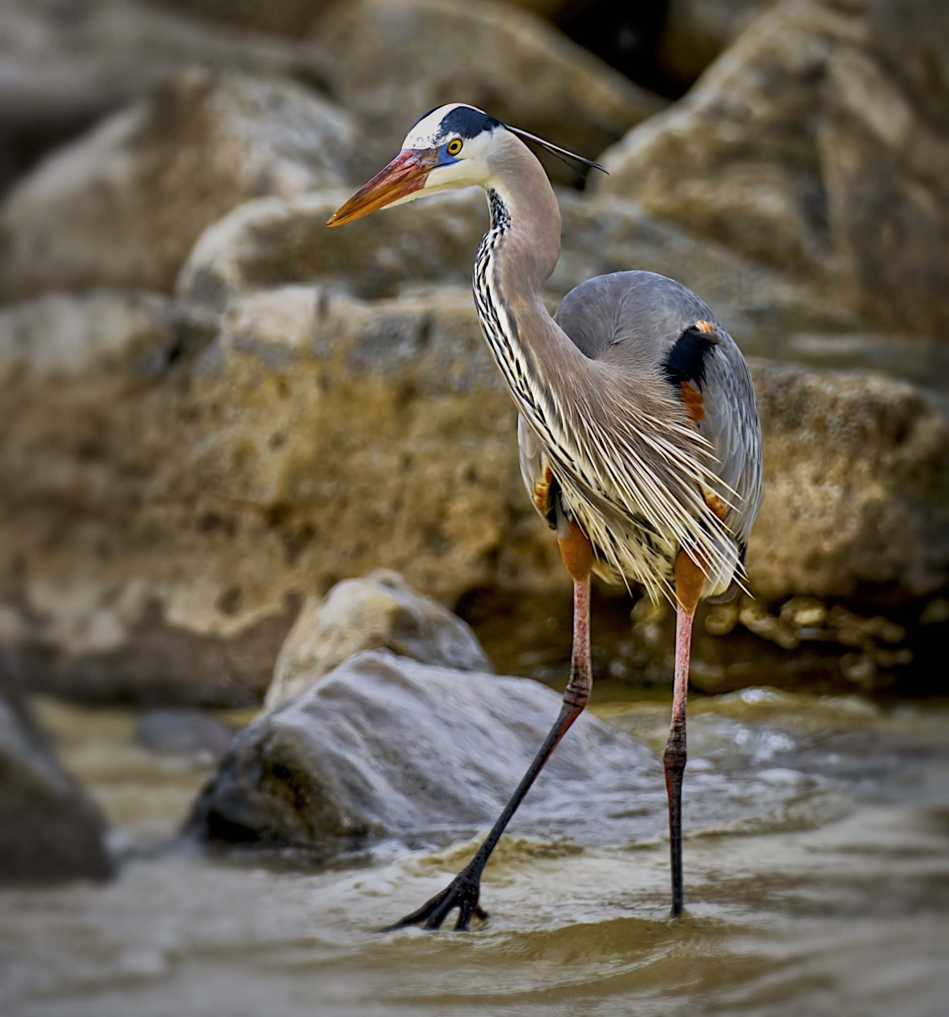 Sony a6300 sample photo. Just standing around photography