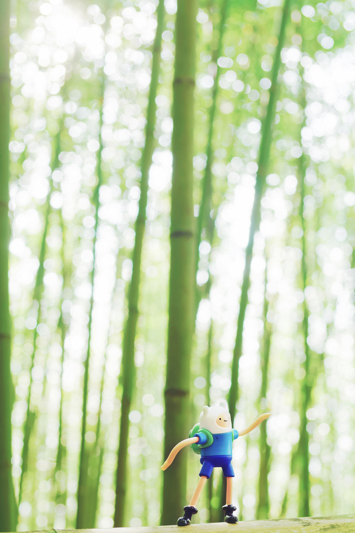 Sony a99 II sample photo. Bamboo and doll photography