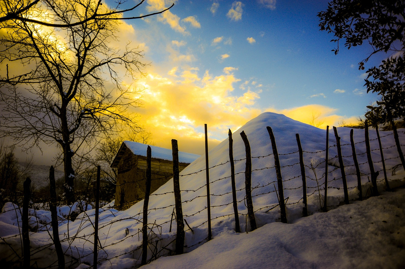 Nikon D700 sample photo. Winter photography
