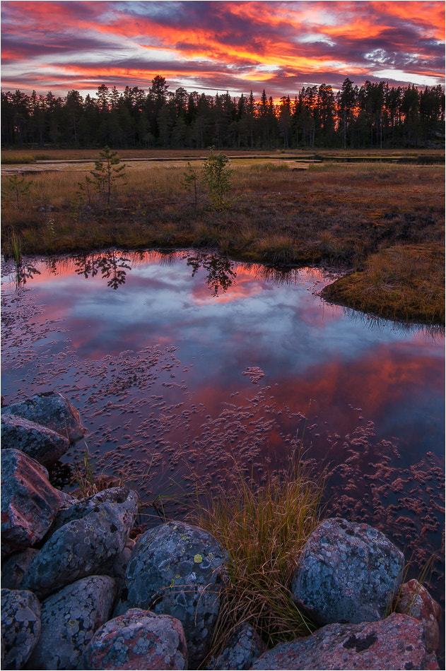 Sigma 10-20mm F4-5.6 EX DC HSM sample photo. °°° evening in the moor °°° photography