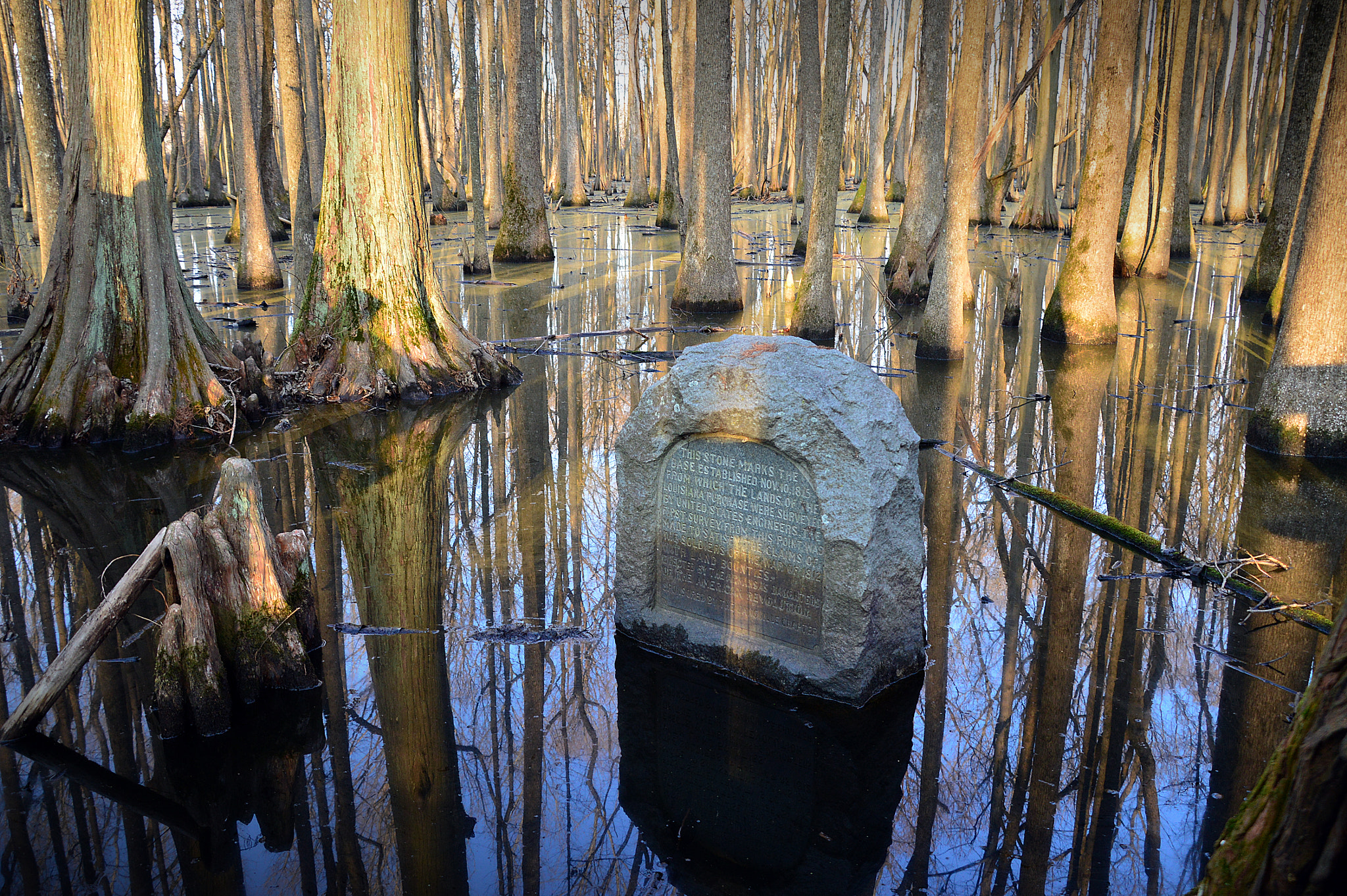 Nikon D3200 sample photo. Swamp monument photography