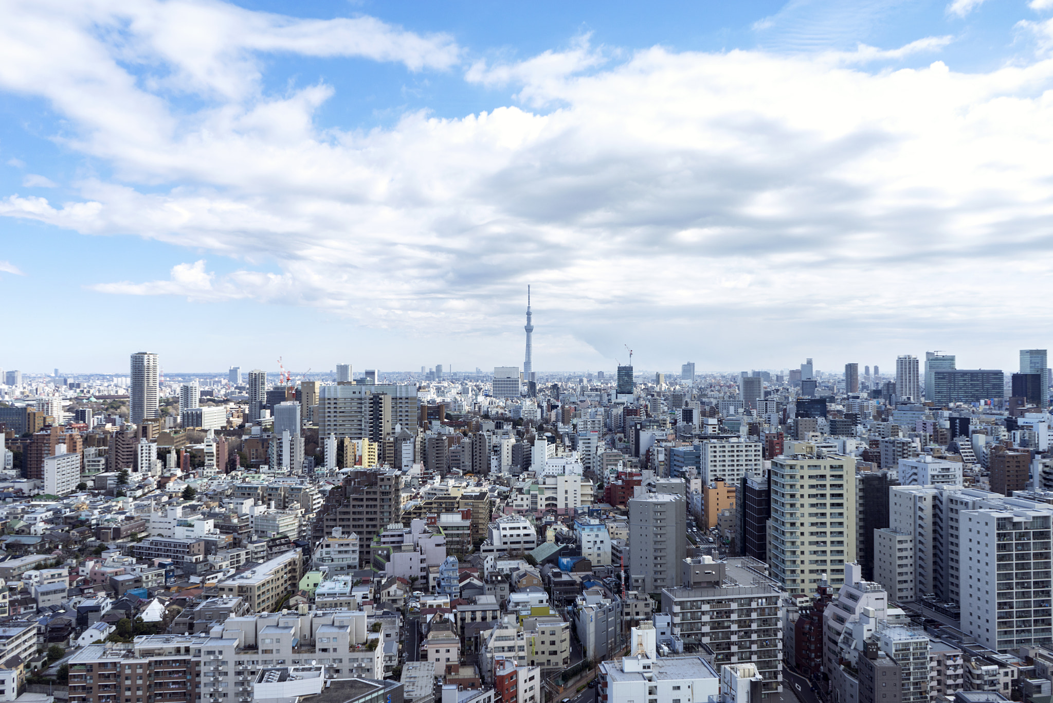 Sony a7R + Sony FE 28-70mm F3.5-5.6 OSS sample photo. Skytree, tokyo photography