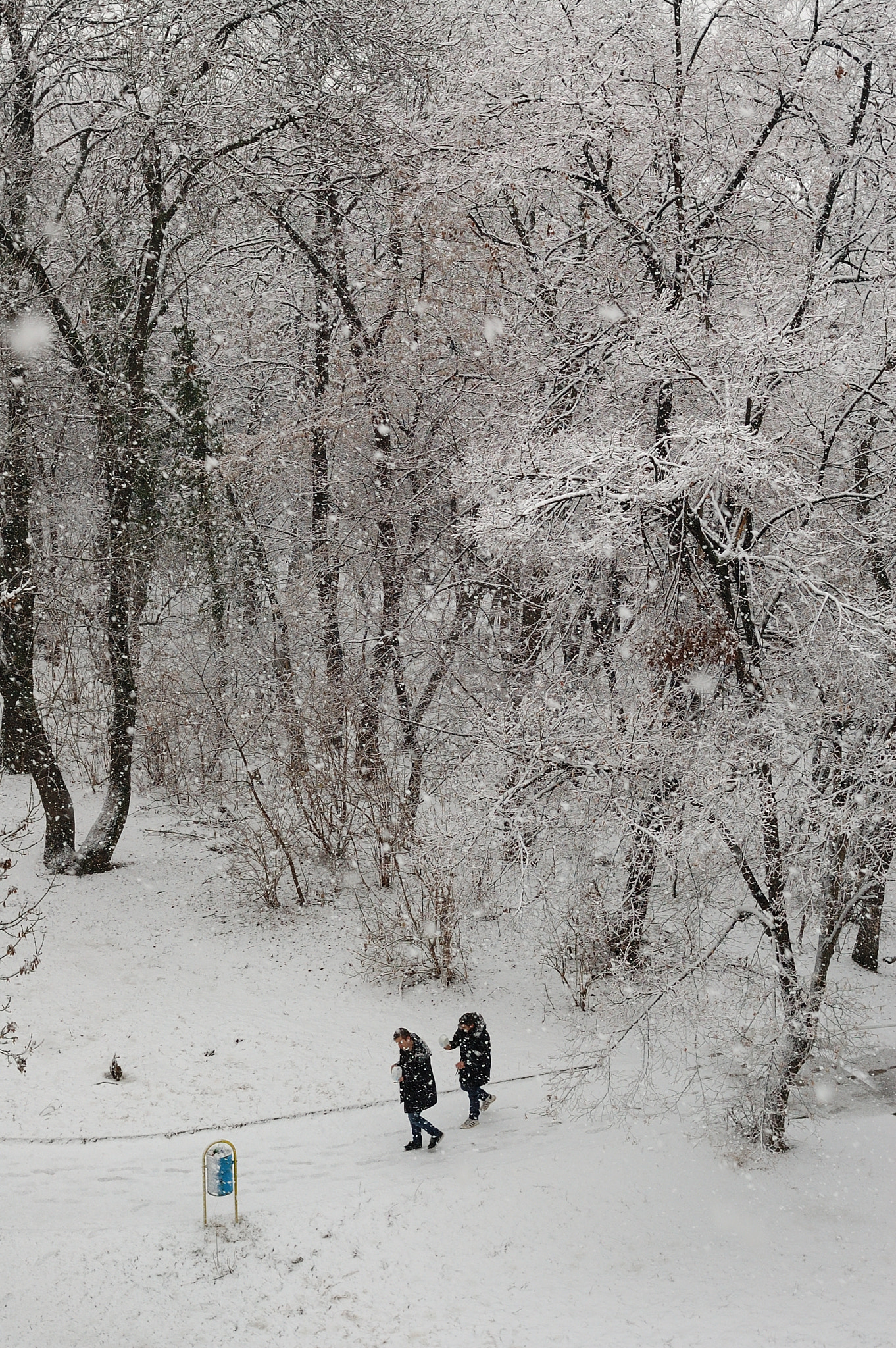 Nikon D70s + Nikon AF Nikkor 35mm F2D sample photo. It's snowing in my neighborhood photography