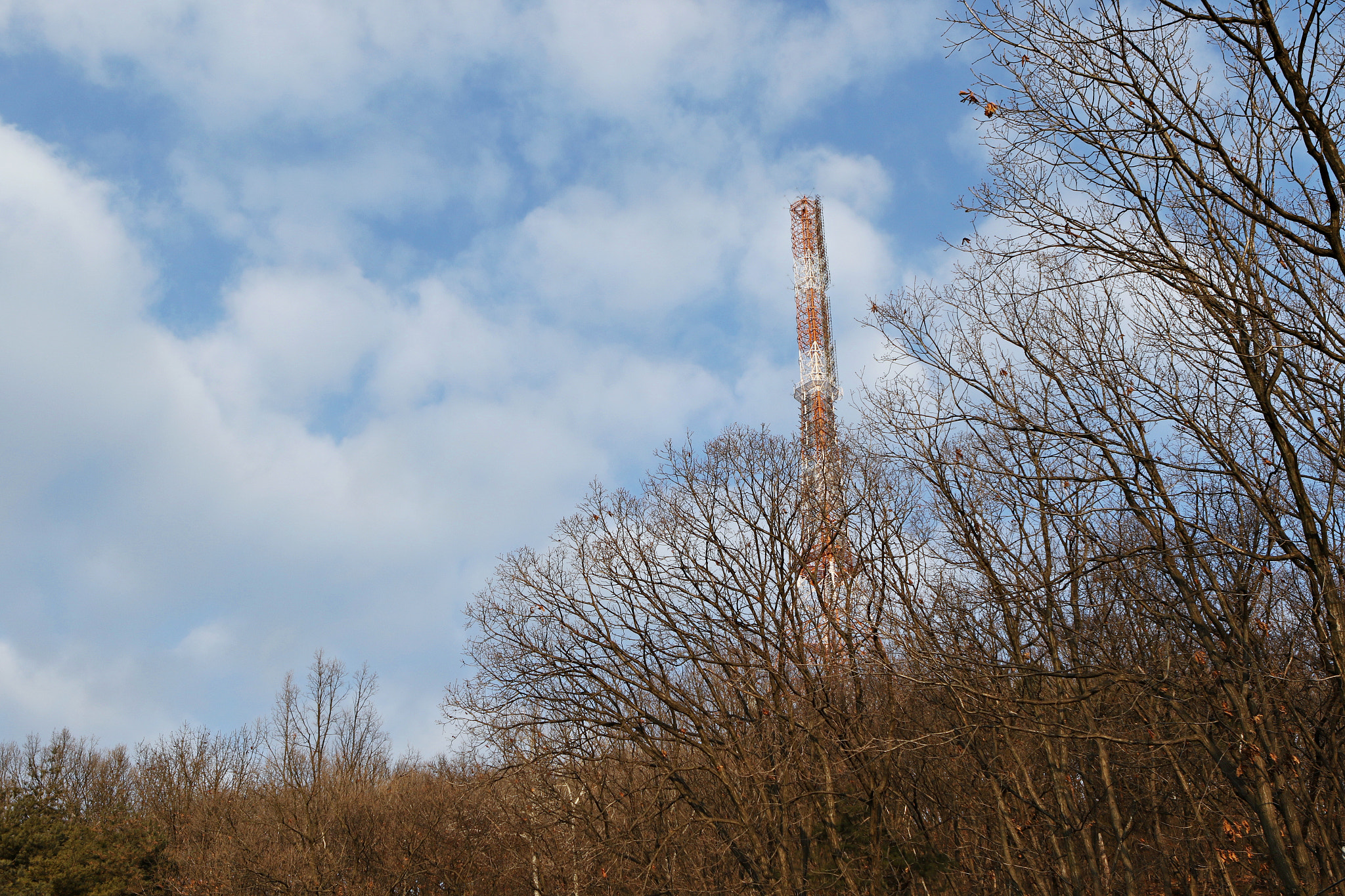 Canon EF 24-70mm F2.8L USM sample photo. Img photography