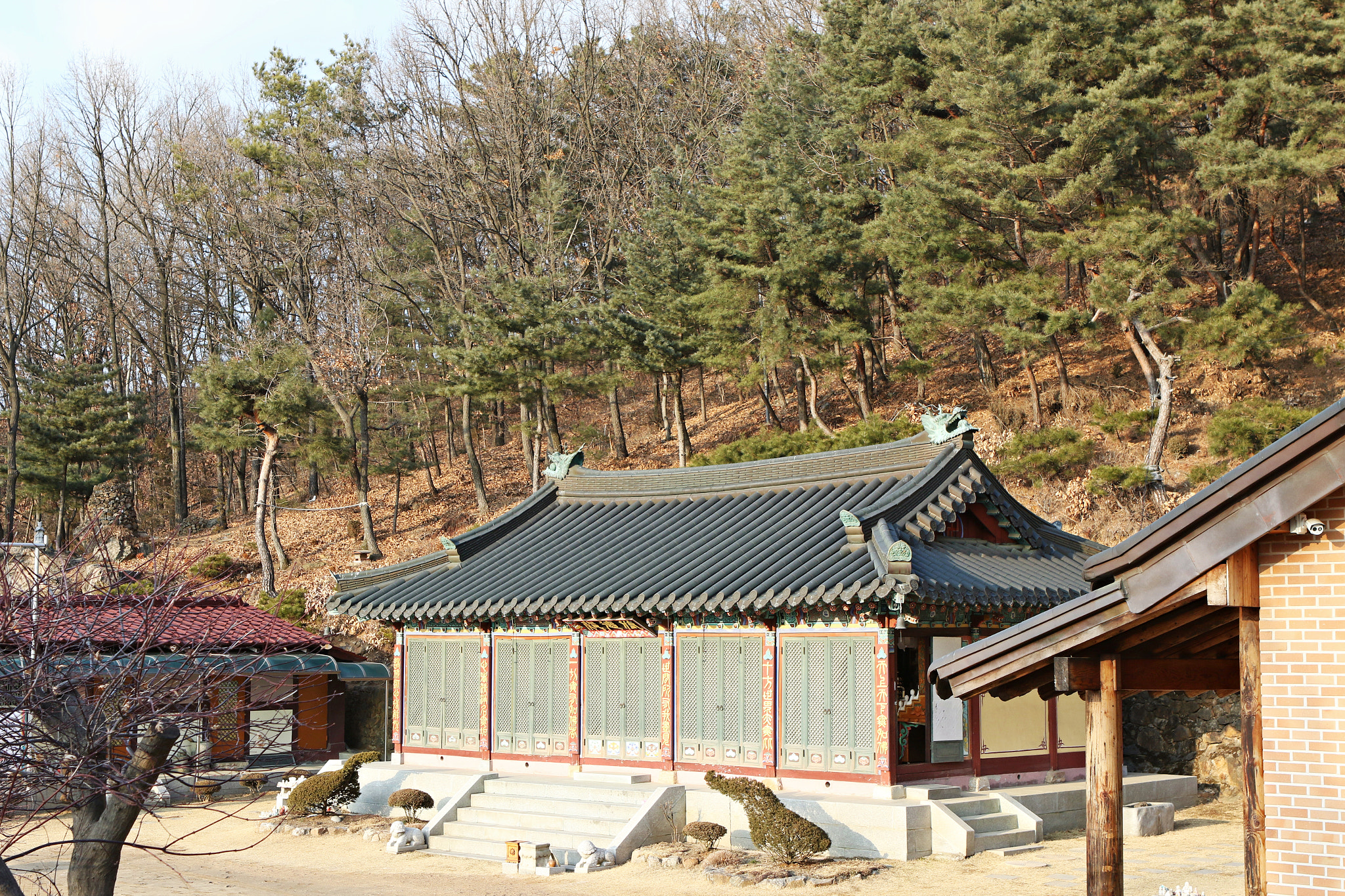 Canon EF 24-70mm F2.8L USM sample photo. Img photography