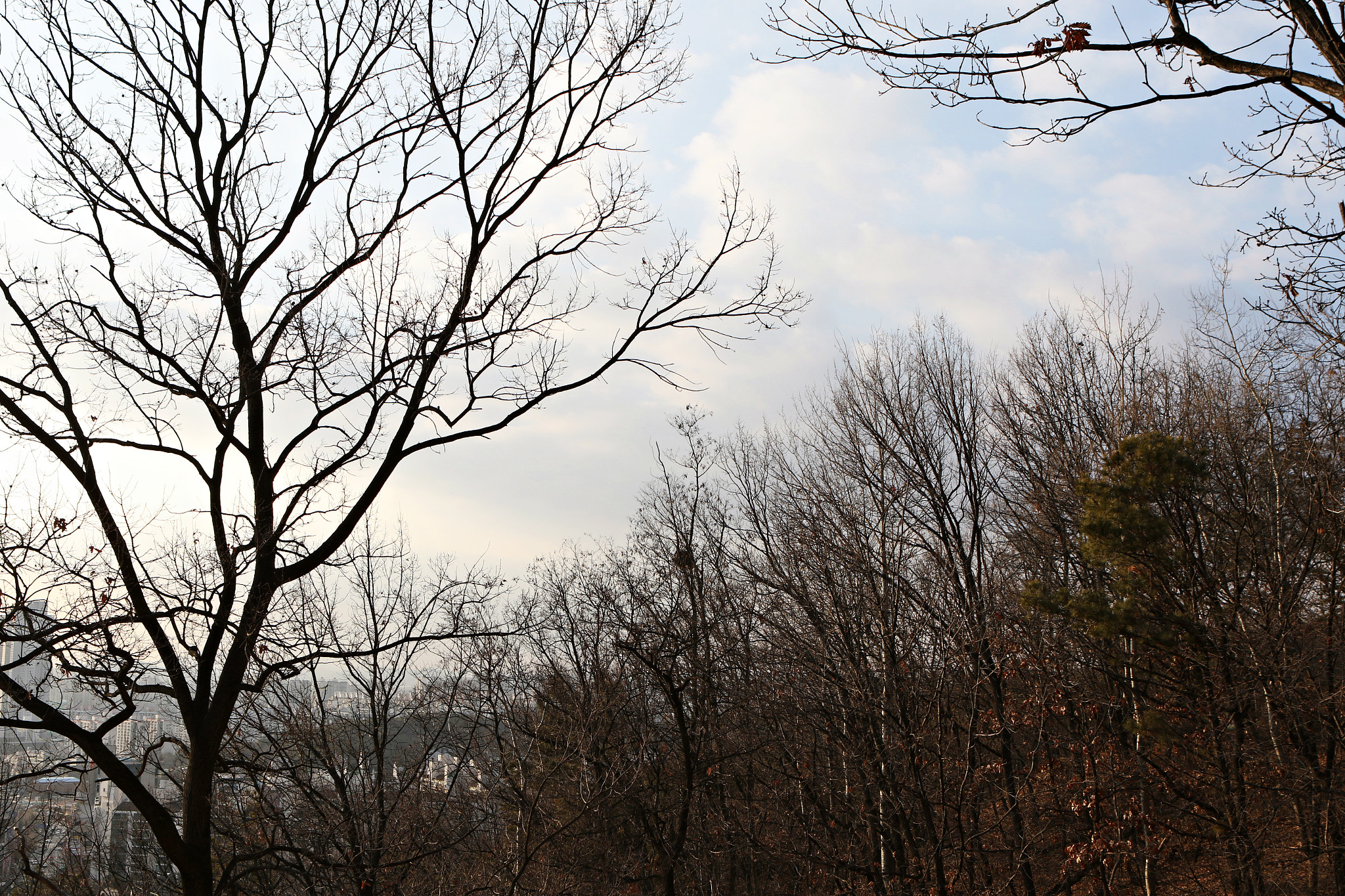 Canon EF 24-70mm F2.8L USM sample photo. Img photography