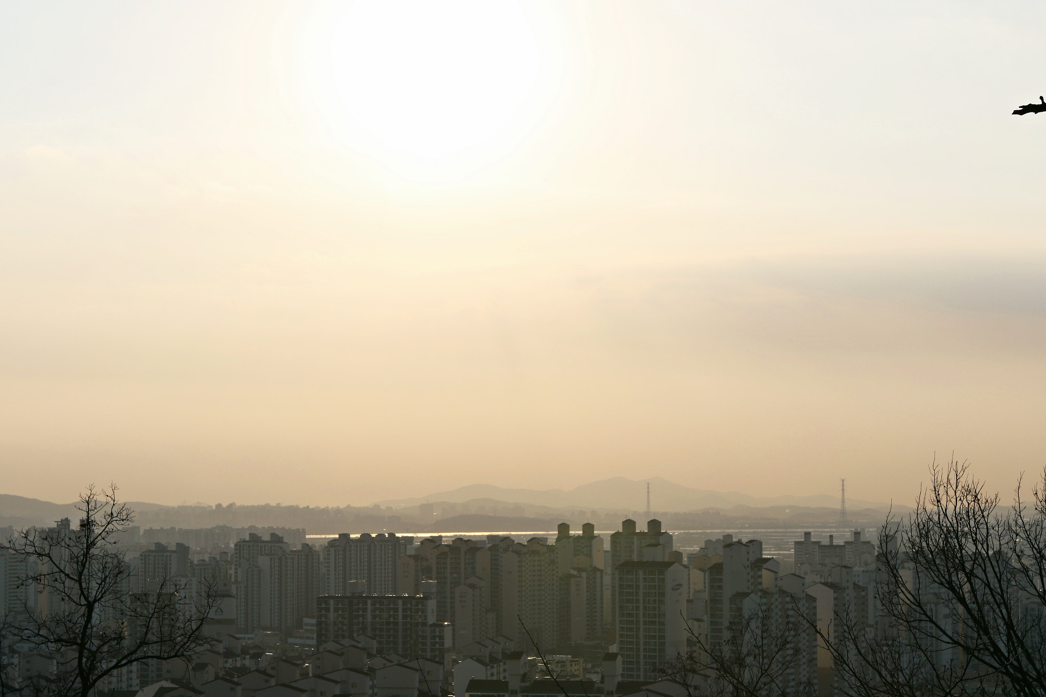 Canon EF 24-70mm F2.8L USM sample photo. Img photography