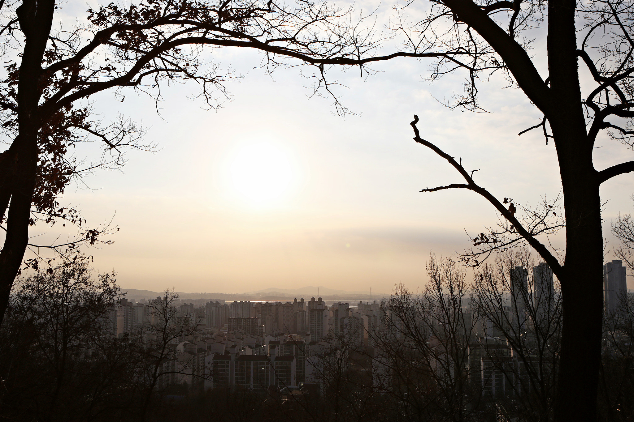 Canon EF 24-70mm F2.8L USM sample photo. Img photography