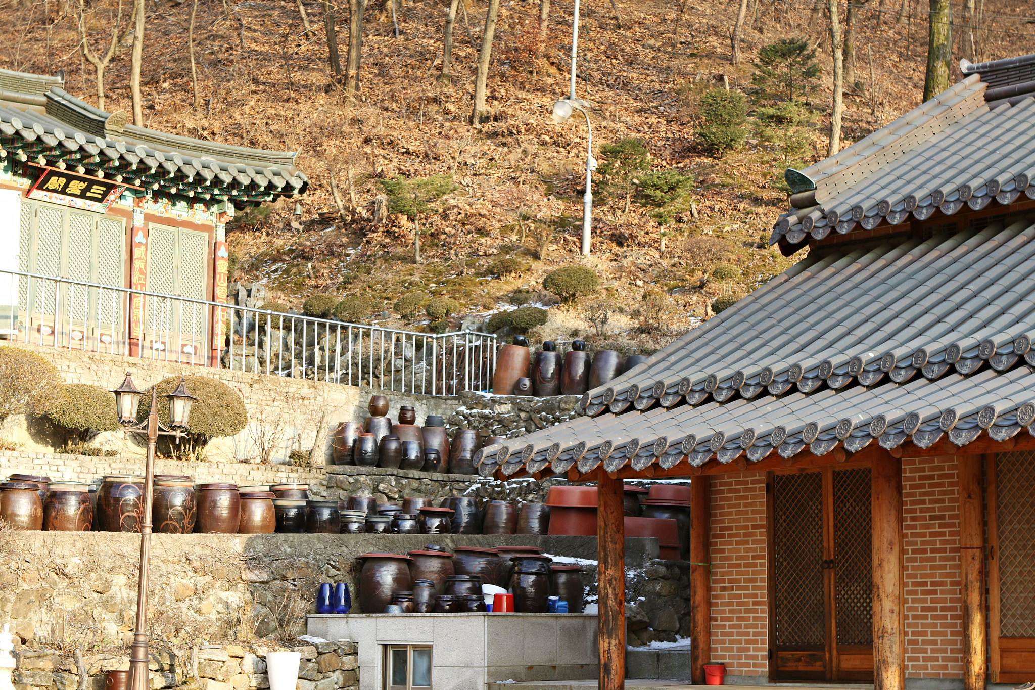 Canon EF 24-70mm F2.8L USM sample photo. Img photography