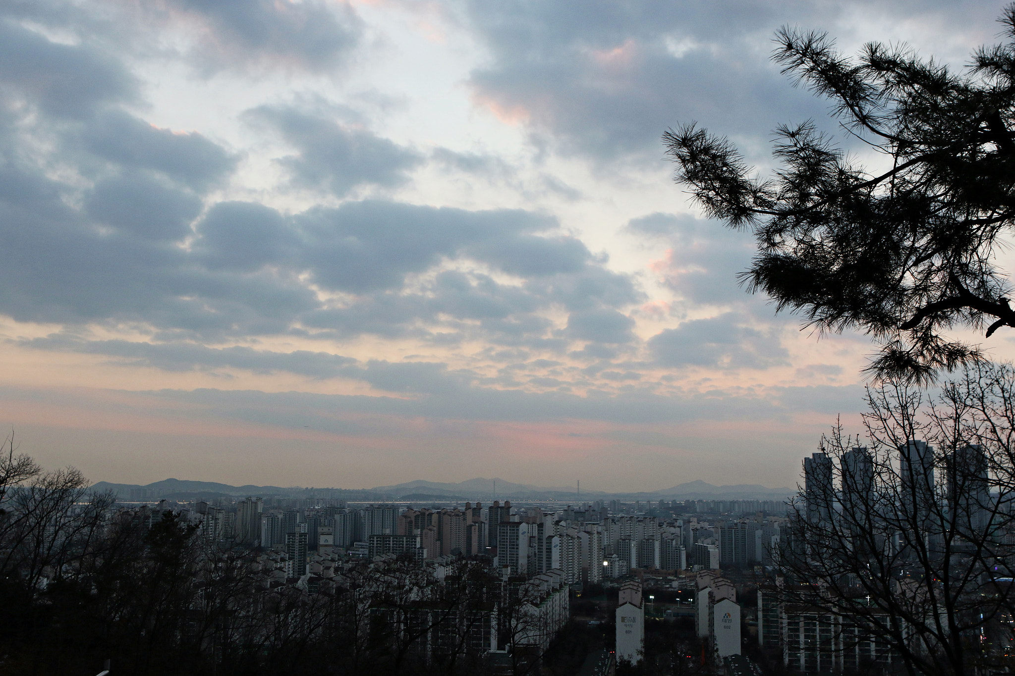 Canon EF 24-70mm F2.8L USM sample photo. Img photography