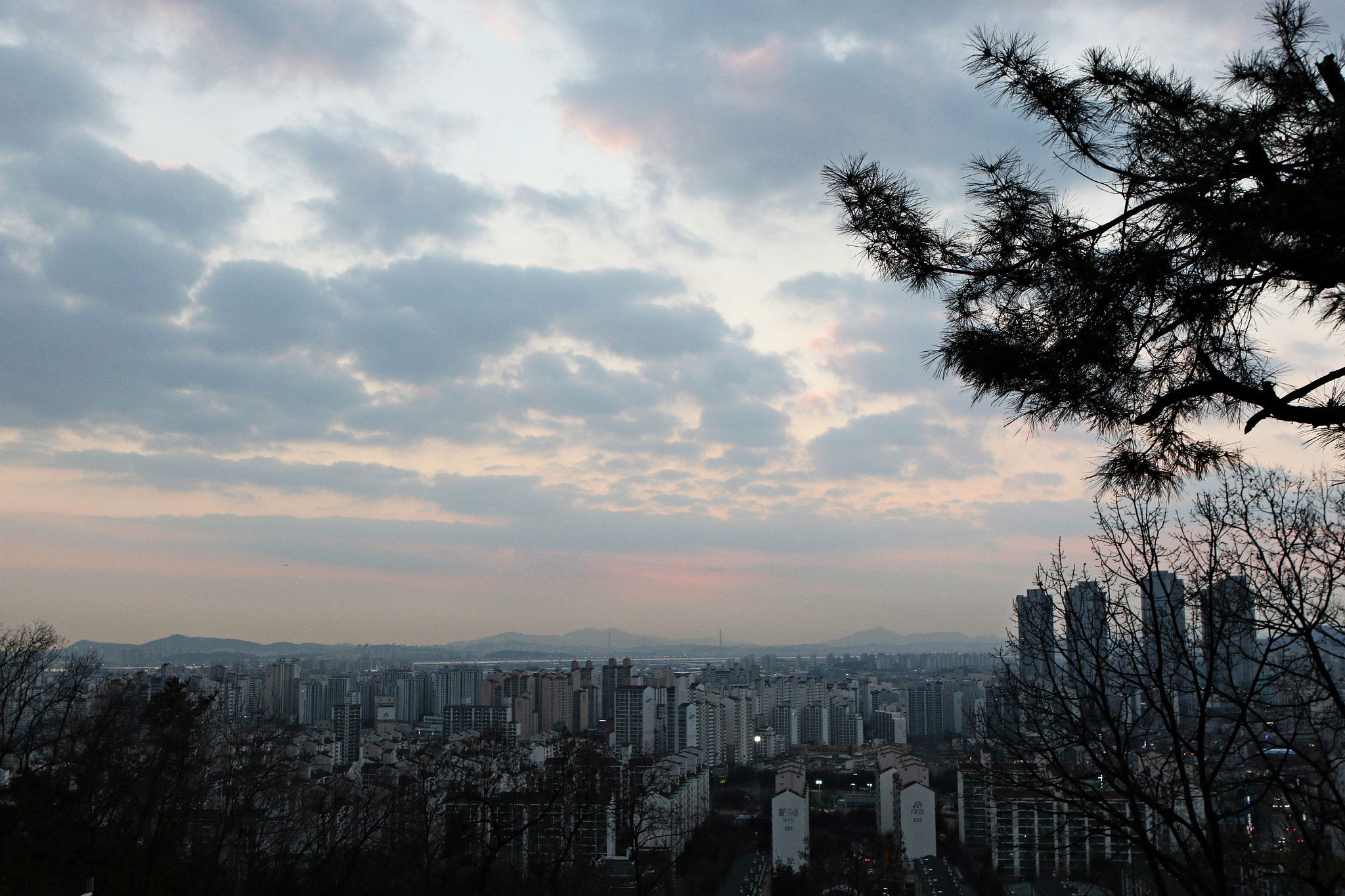 Canon EF 24-70mm F2.8L USM sample photo. Img photography