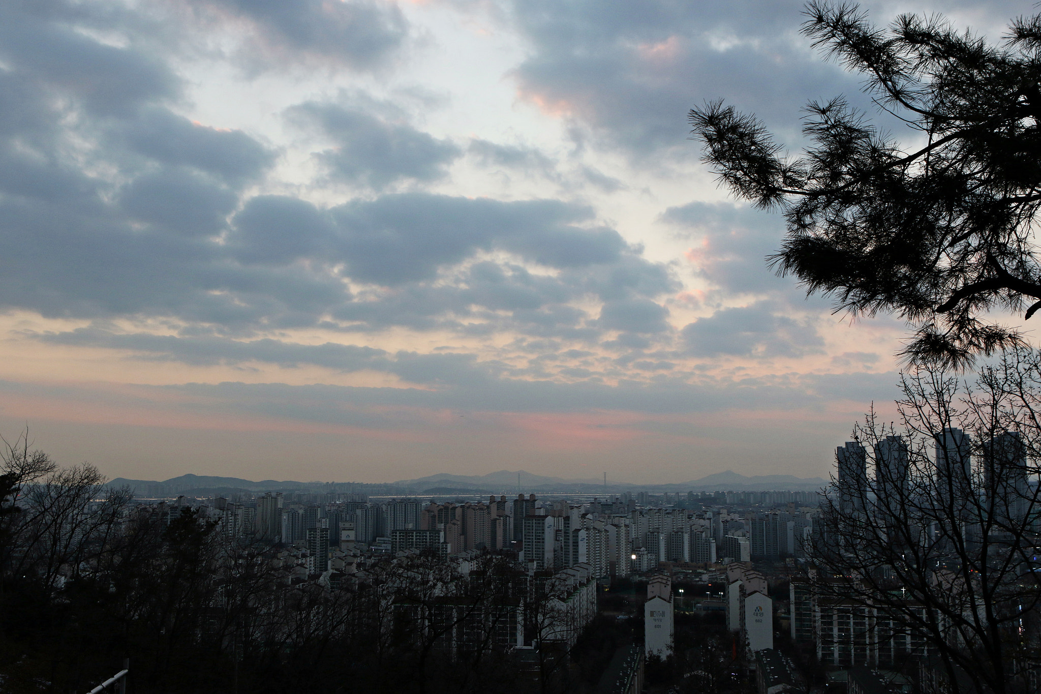 Canon EF 24-70mm F2.8L USM sample photo. Img photography