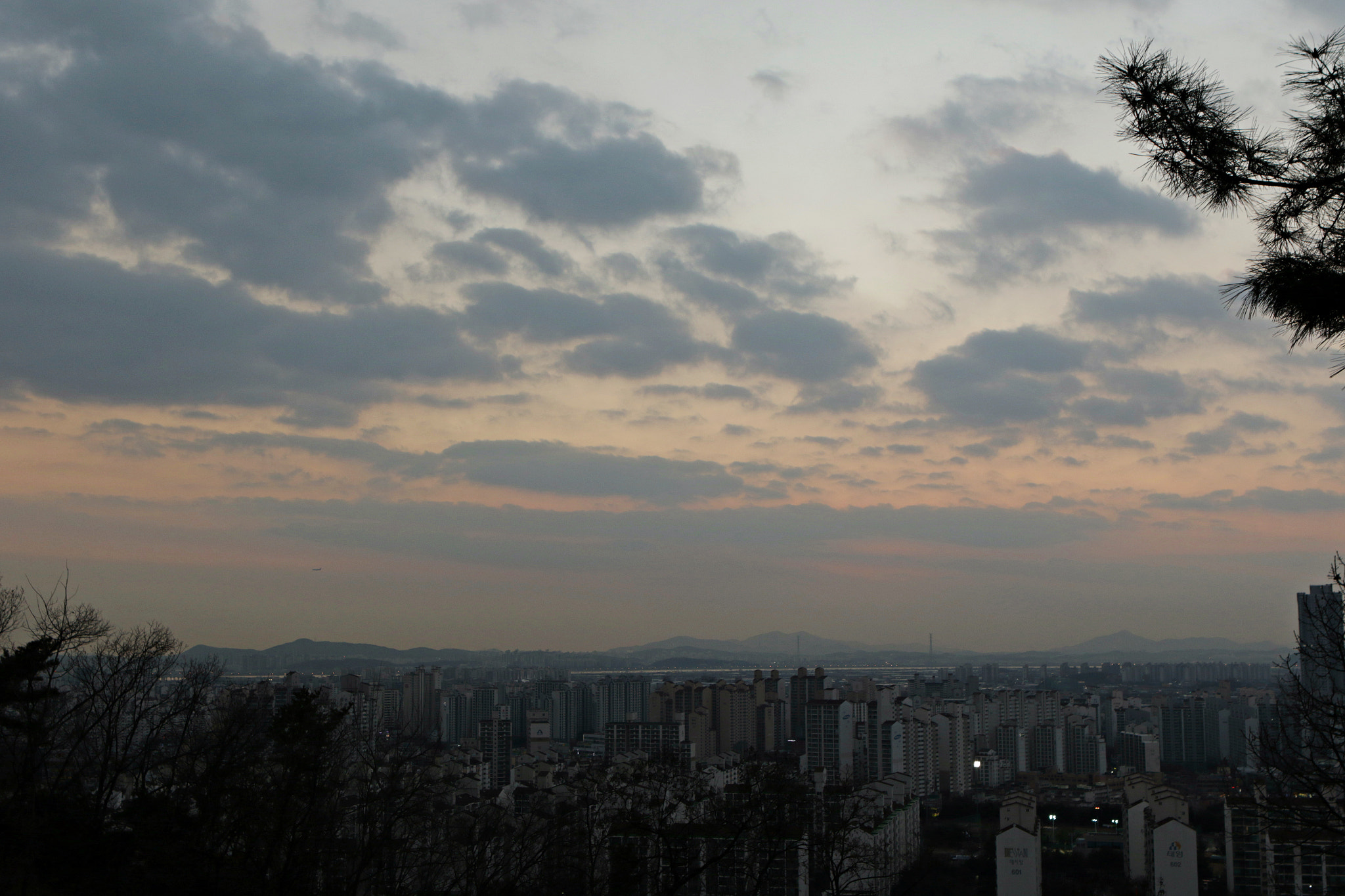 Canon EF 24-70mm F2.8L USM sample photo. Img photography