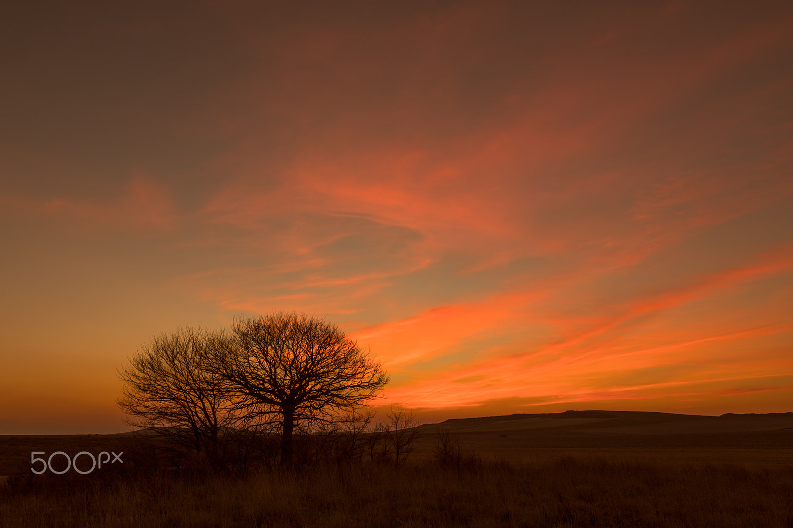 Canon EF 24-70mm F2.8L USM sample photo. Atardecer photography