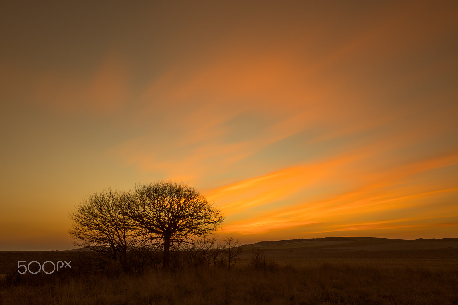 Canon EF 24-70mm F2.8L USM sample photo. Atardecer photography