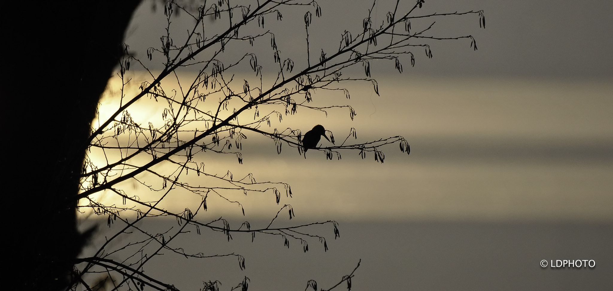 Sigma 150-600mm F5-6.3 DG OS HSM | S sample photo. Sunset photography