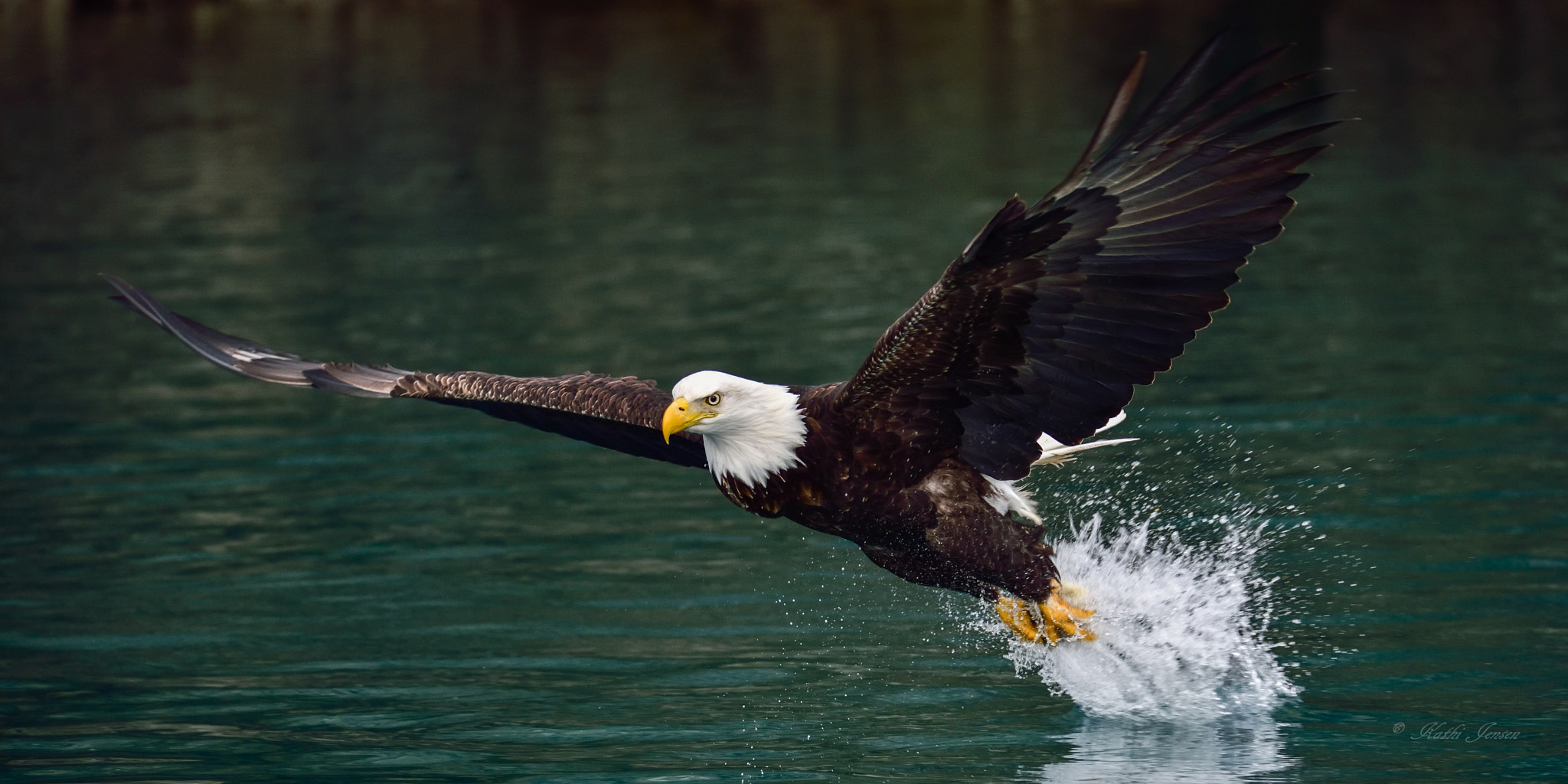 Sigma 150-600mm F5-6.3 DG OS HSM | S sample photo. Ascension photography