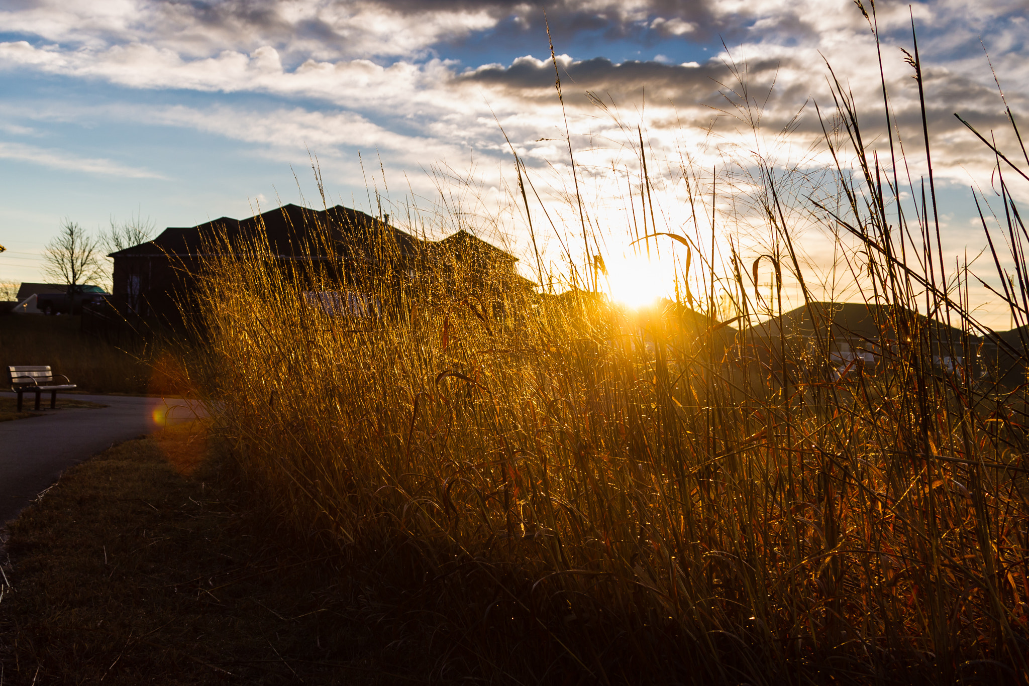 Canon EOS-1D Mark IV sample photo. Sunrise photography