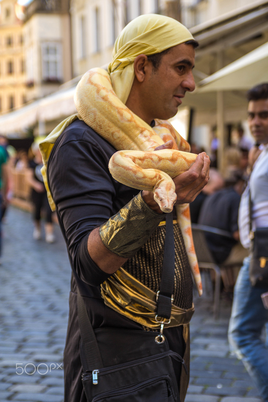 Canon EOS 60D + Sigma 18-50mm f/2.8 Macro sample photo. Mr. snake photography