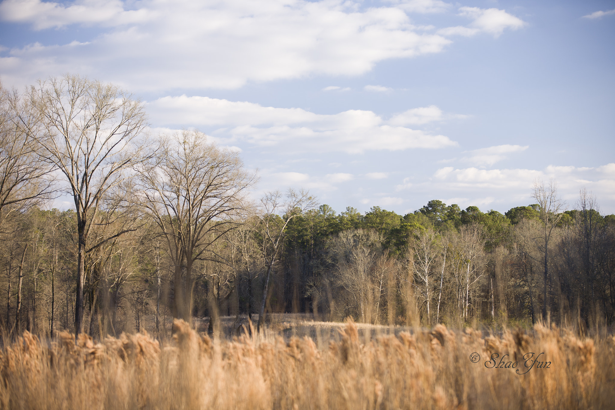 Canon EOS 5D sample photo. Piedmont national wildlife refuge photography