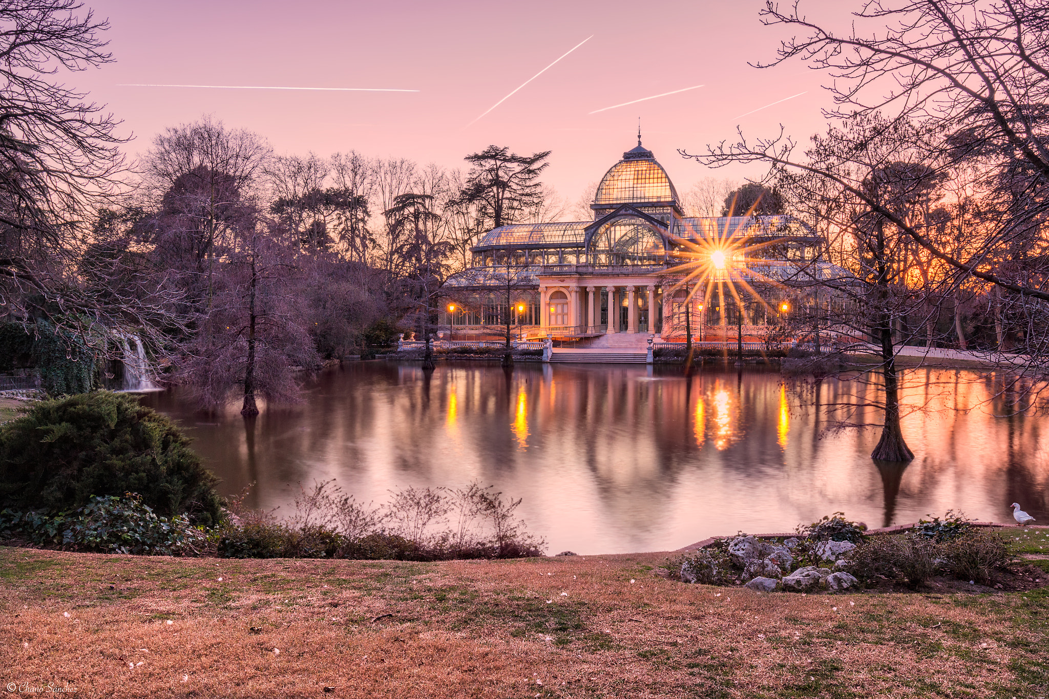 Canon EF 16-35mm F4L IS USM sample photo. Crystal lights || palacio de cristal (madrid) photography
