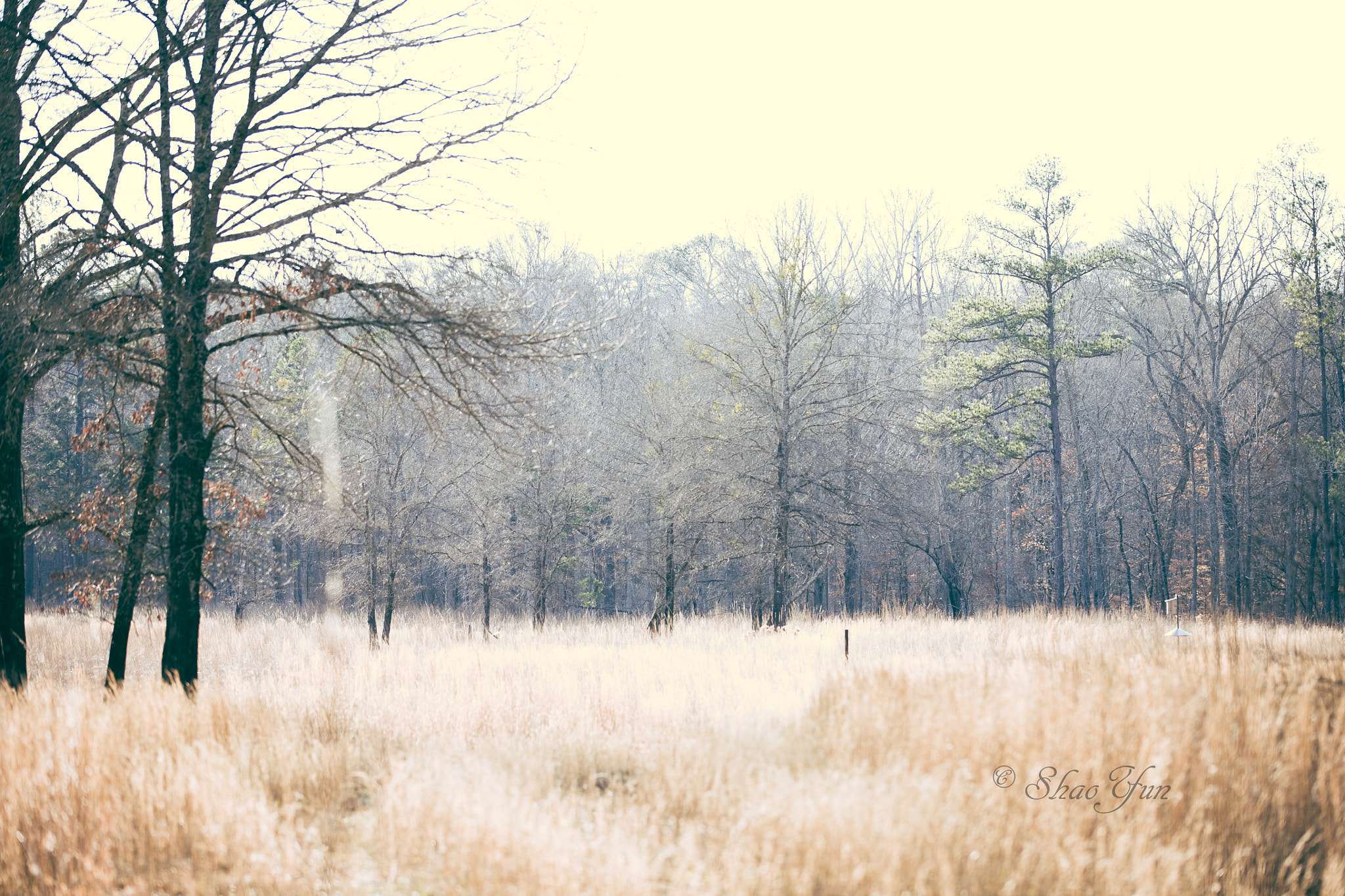 Canon EOS 5D sample photo. Piedmont national wildlife refuge photography
