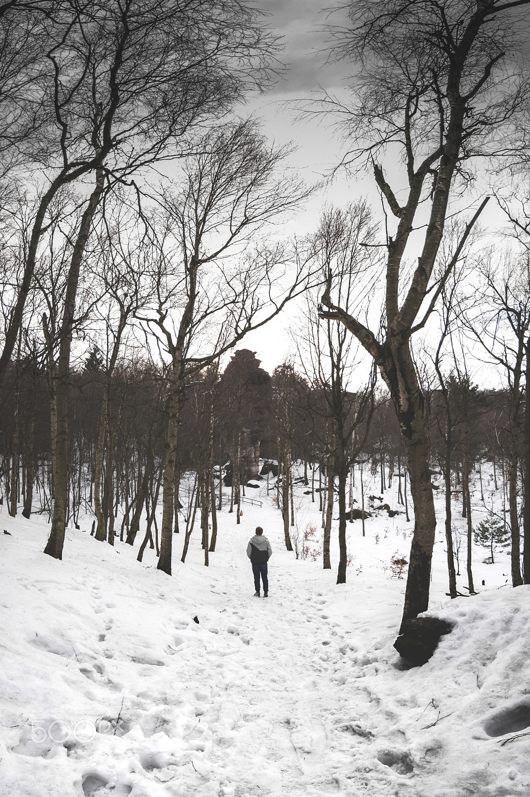 Panasonic Lumix DMC-G7 sample photo. Winter path photography