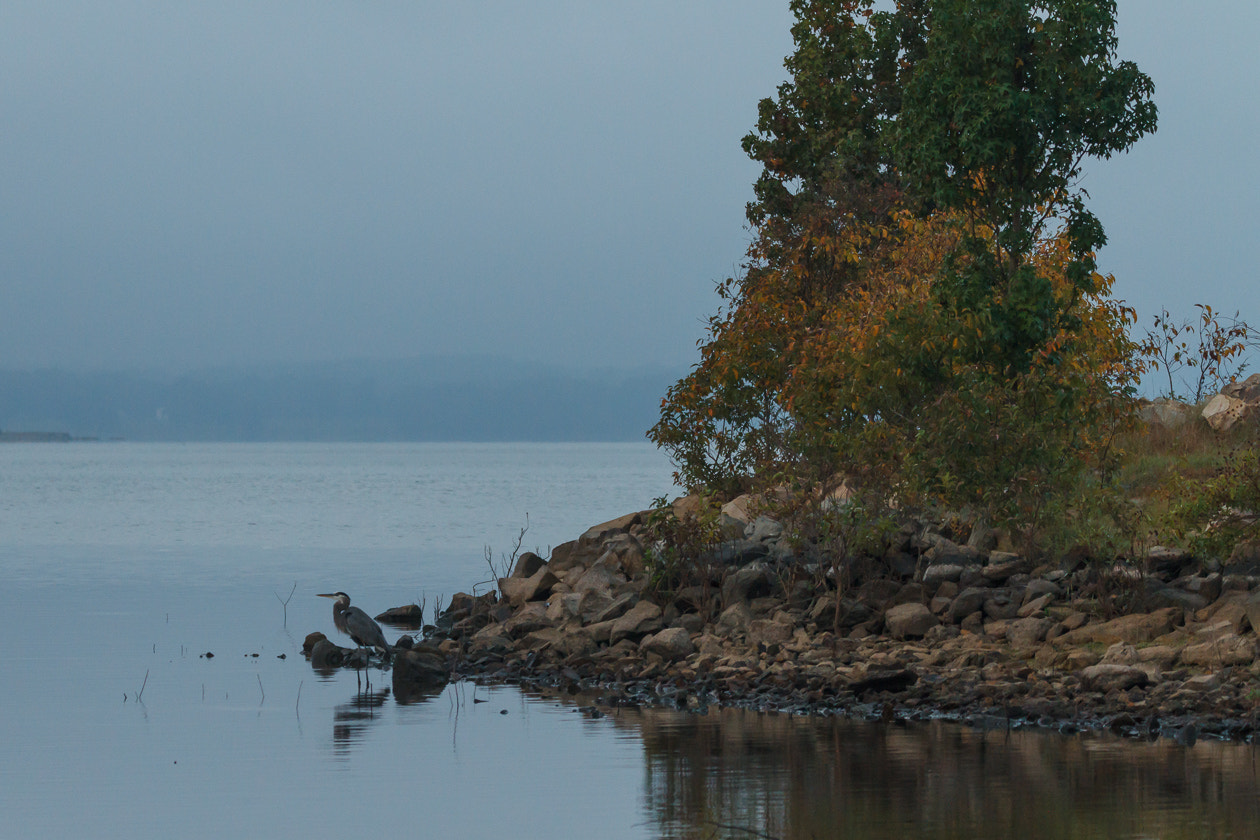 Canon EOS 7D sample photo. A bit of fall color at edge of hazy lake photography