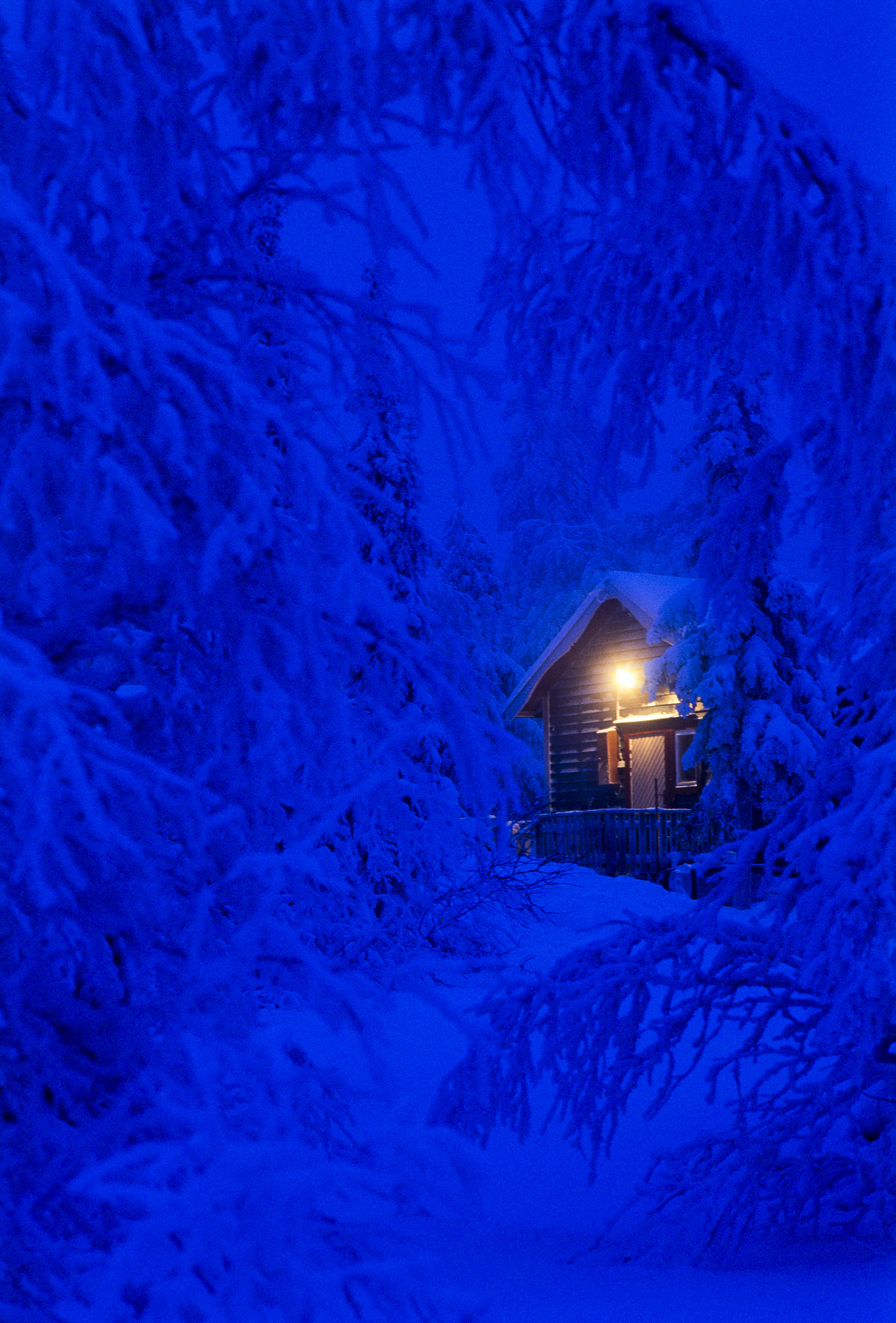 Sigma 150mm F2.8 EX DG Macro HSM sample photo. Winter in the swedish mountains photography