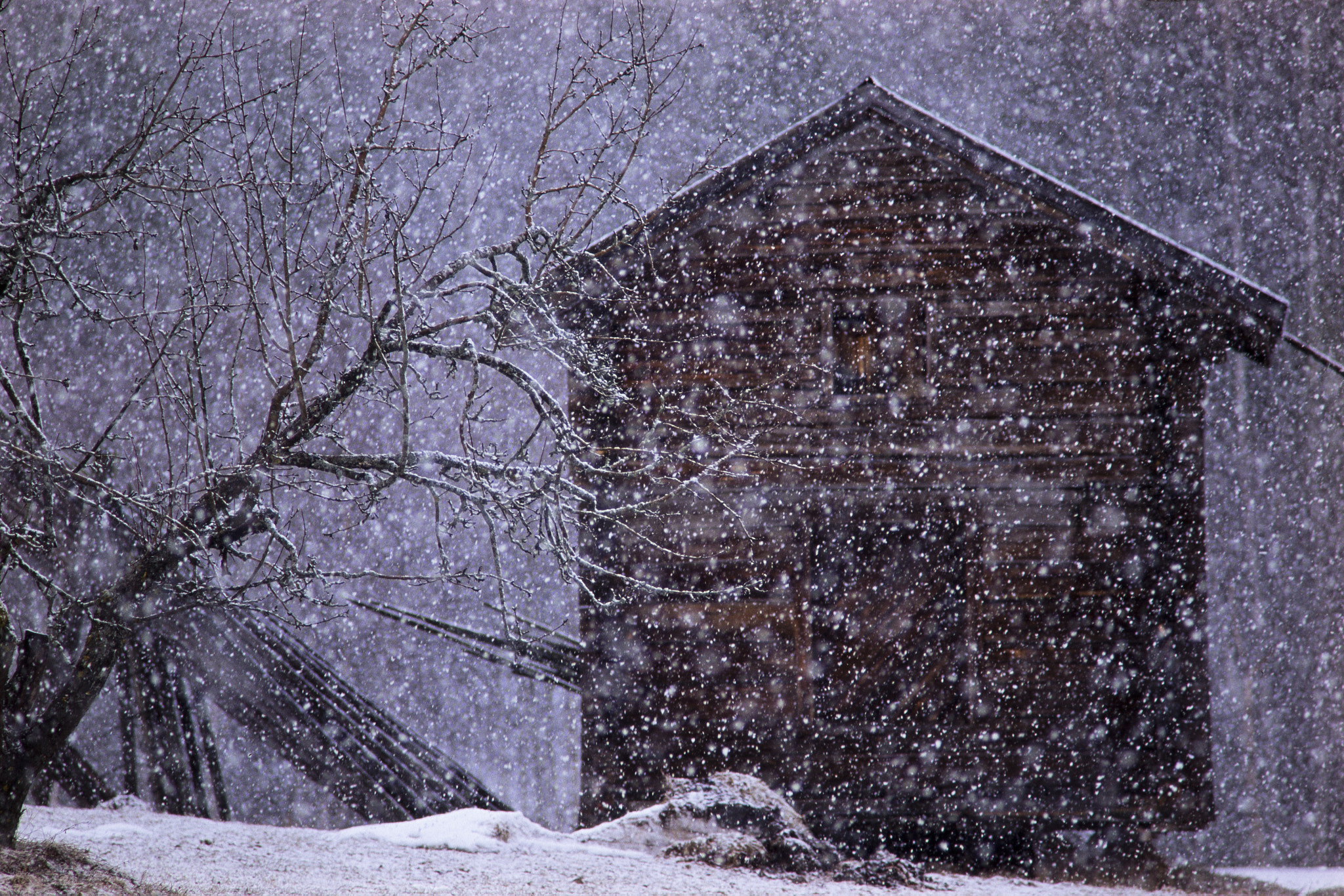 Nikon D600 sample photo. Snowfall photography