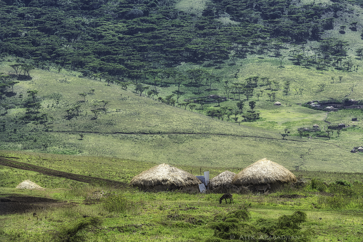 Nikon D5 sample photo. Maasai huts at ngorongoro photography