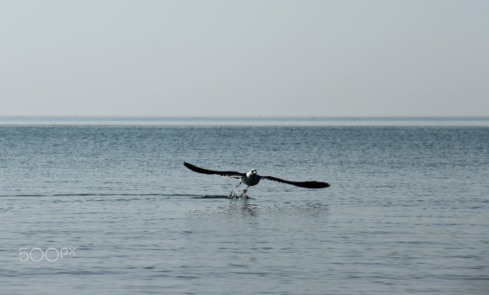 Canon EOS 1200D (EOS Rebel T5 / EOS Kiss X70 / EOS Hi) sample photo. Free..!! photography