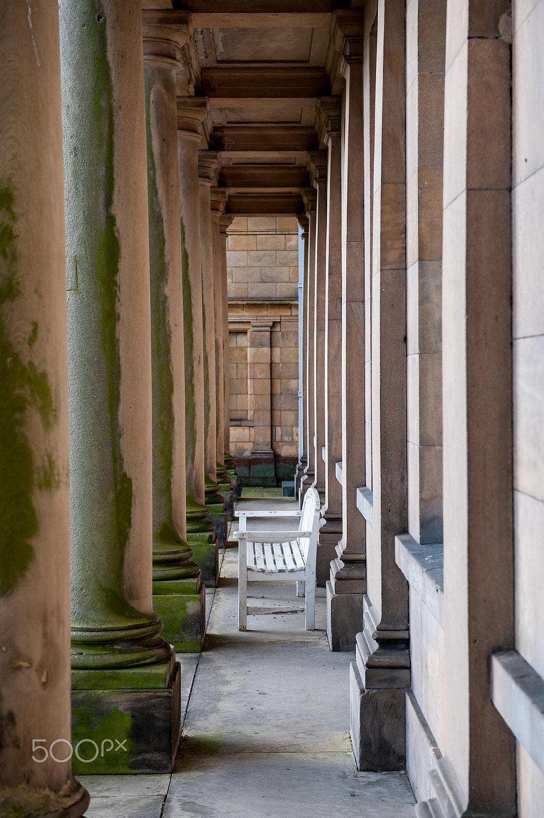 Nikon D3 sample photo. Tatton park iii photography