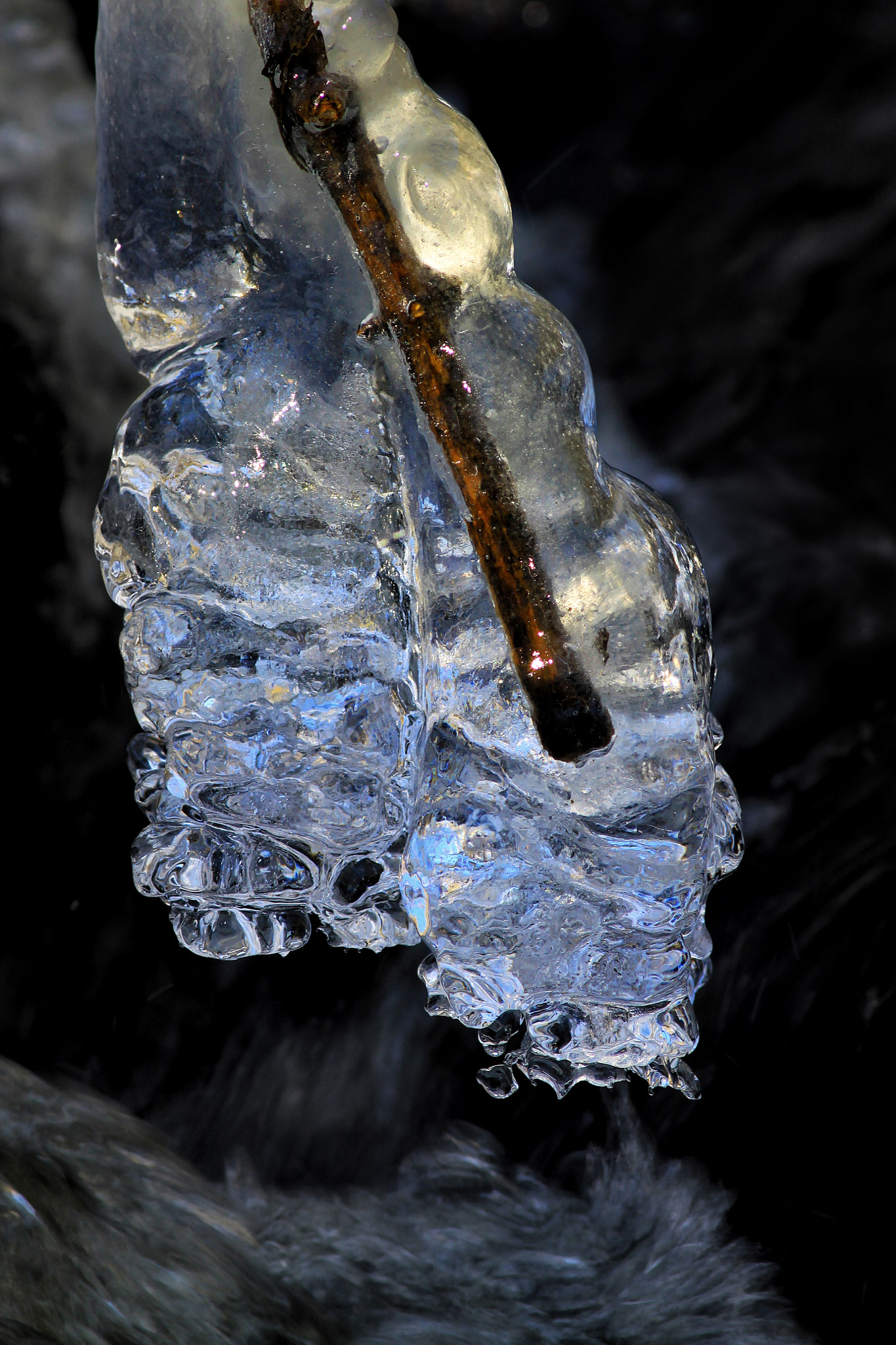 Canon EOS 50D + Canon EF 300mm F4L IS USM sample photo. Ice photography