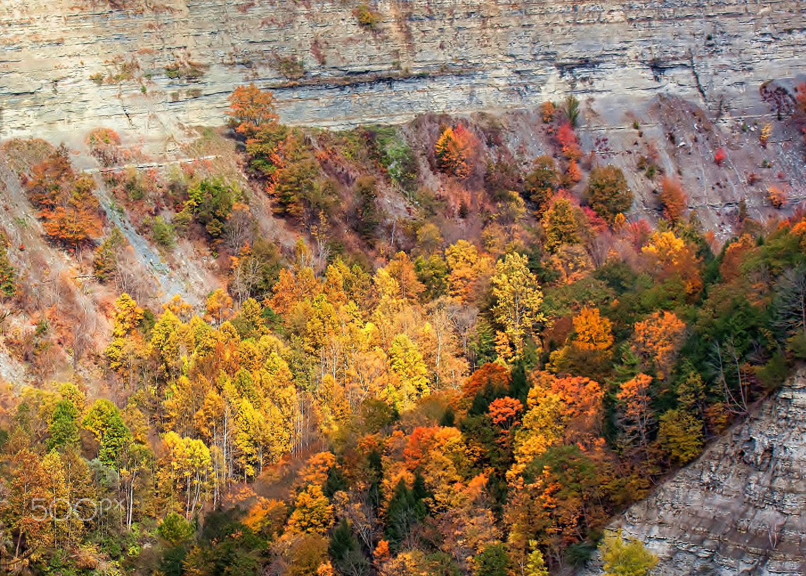 Sigma 50-200mm F4-5.6 DC OS HSM sample photo. Color in the gorge photography