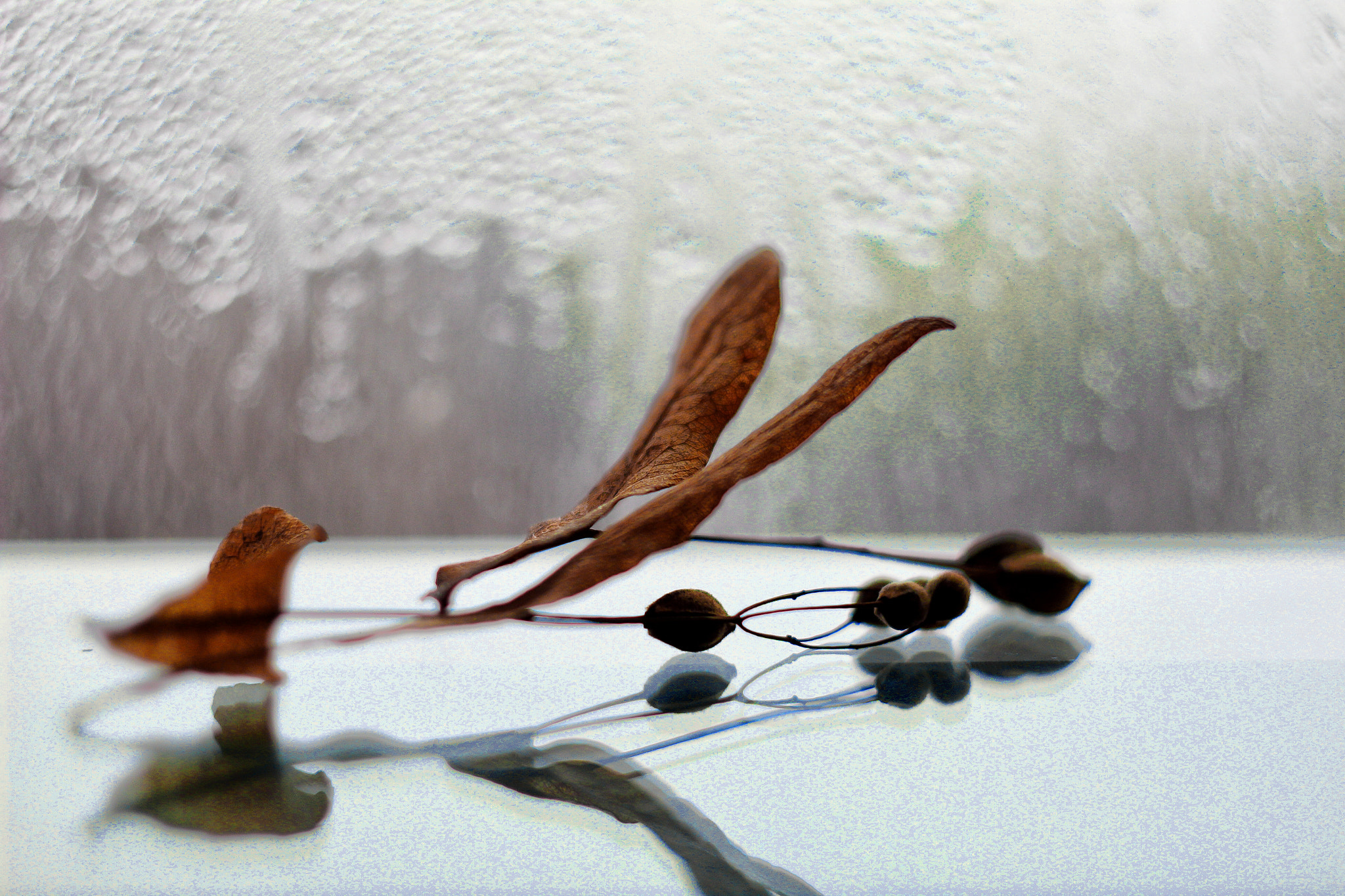 Canon EF 35-80mm f/4-5.6 sample photo. На окне photography